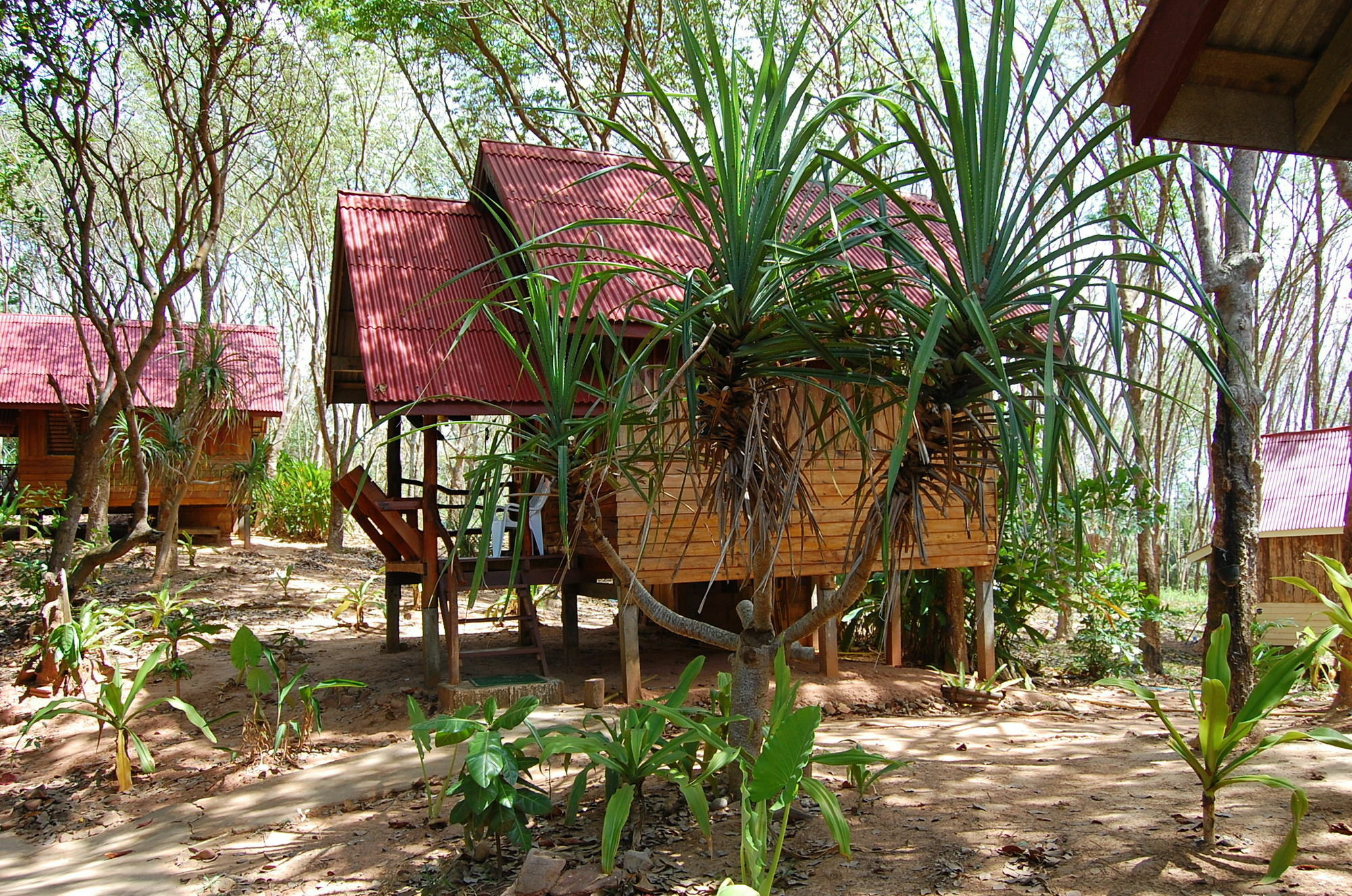 Jungle Hill Guest house