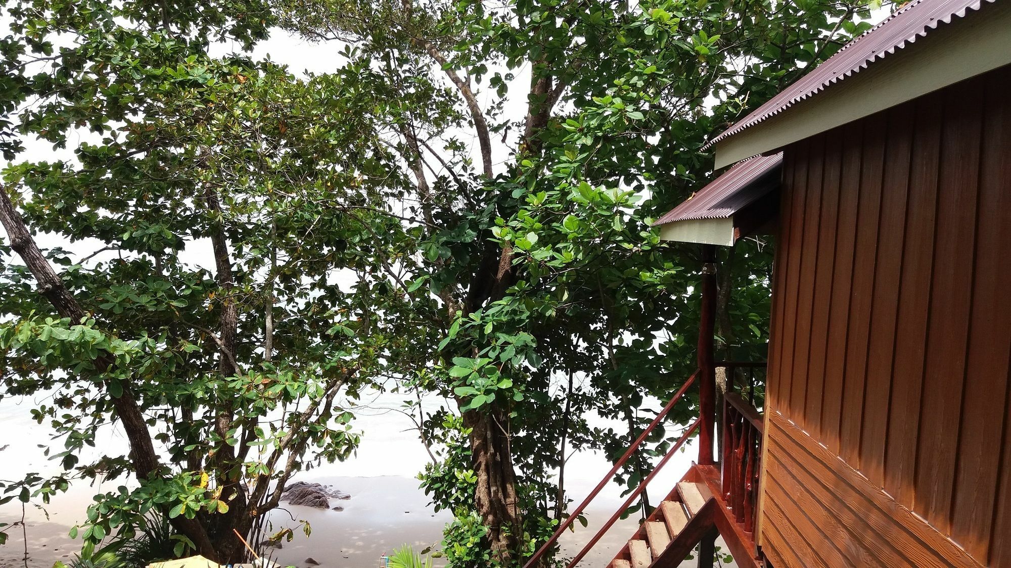Guest house Jungle Hill