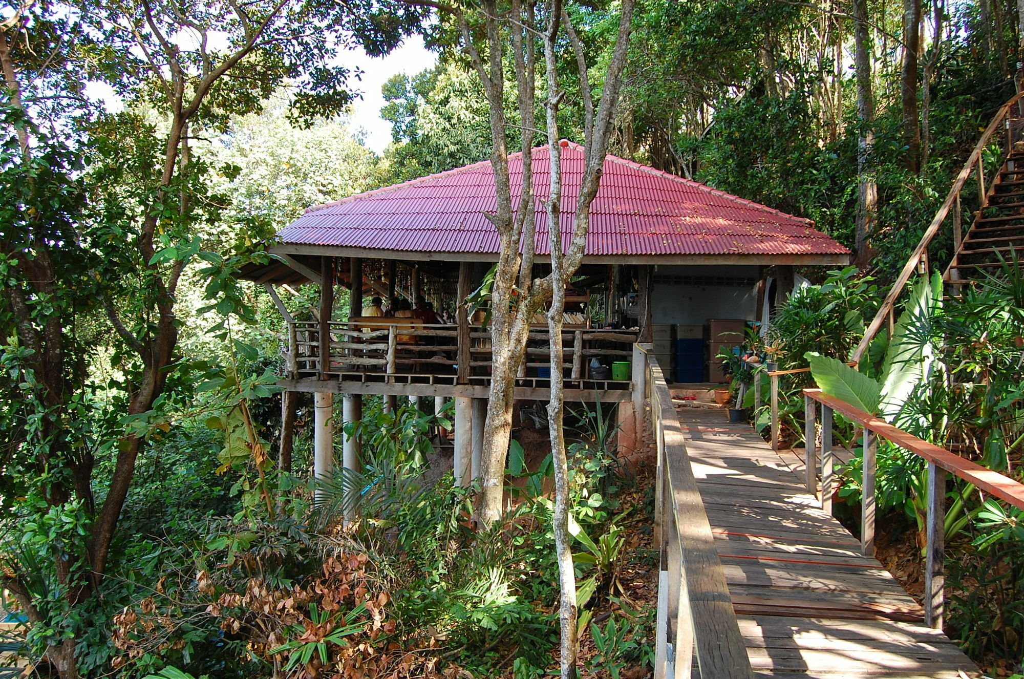 Guest house Jungle Hill