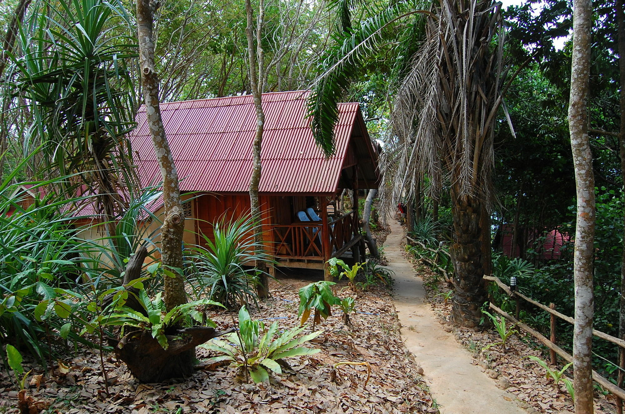 Jungle Hill