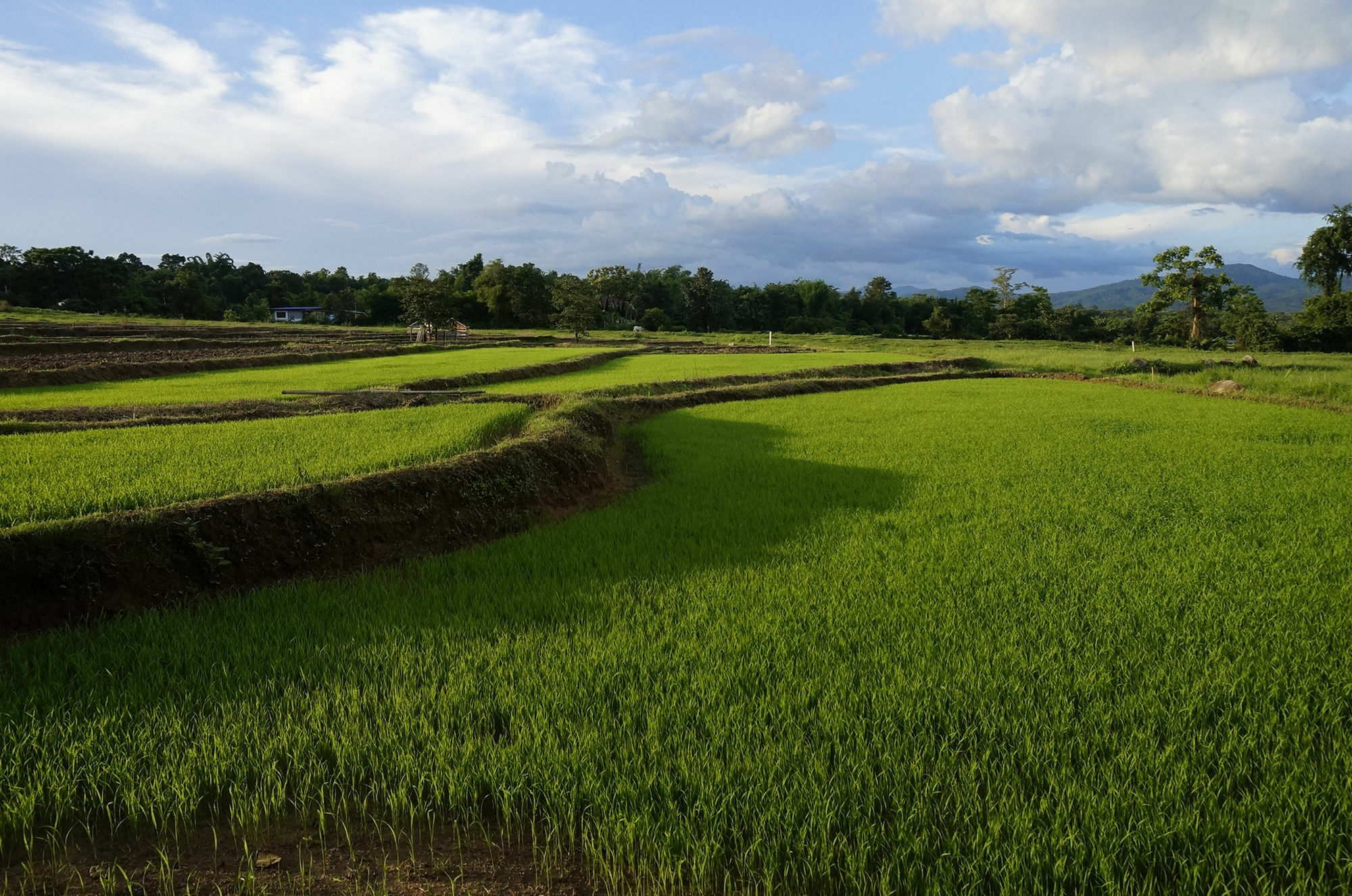 Campo de férias Bannamhoo 2*