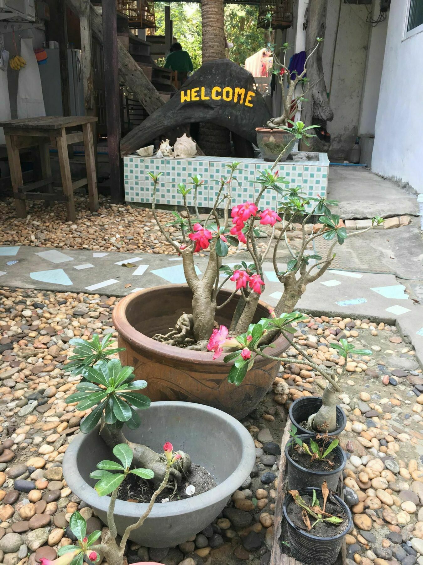 Miss Hong House Guest house