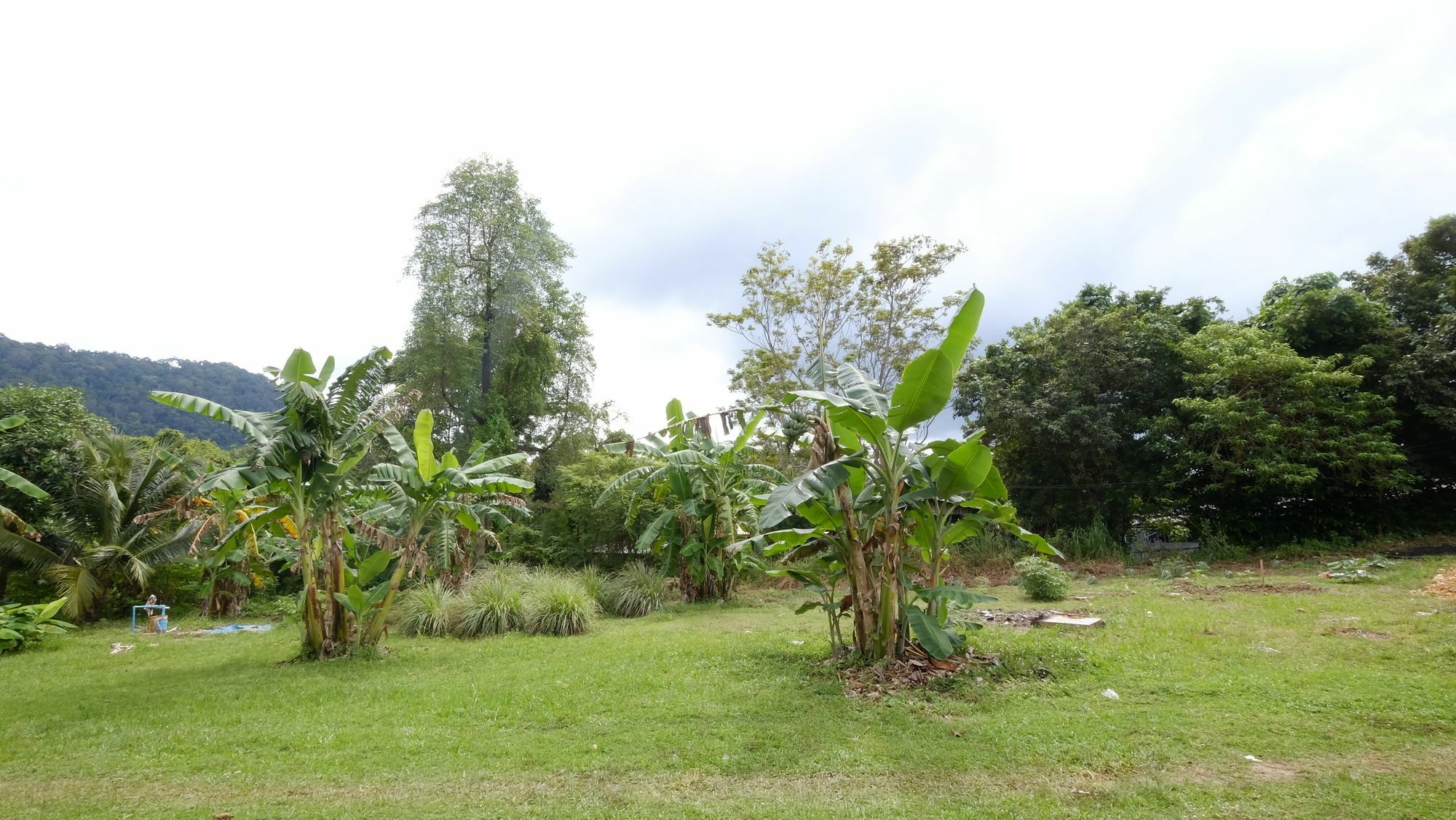 Guest house Hassana Garden