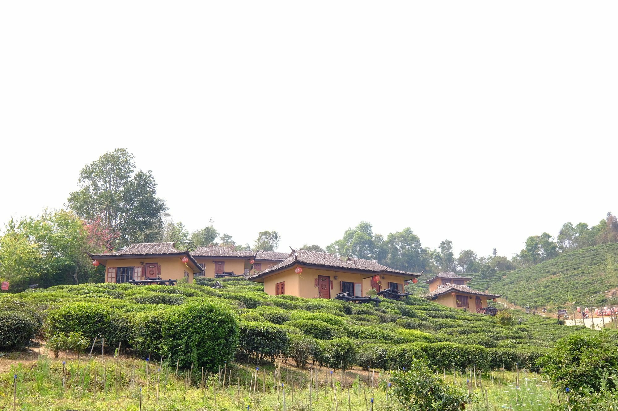 Farm stay Lee Wine Ruk Thai