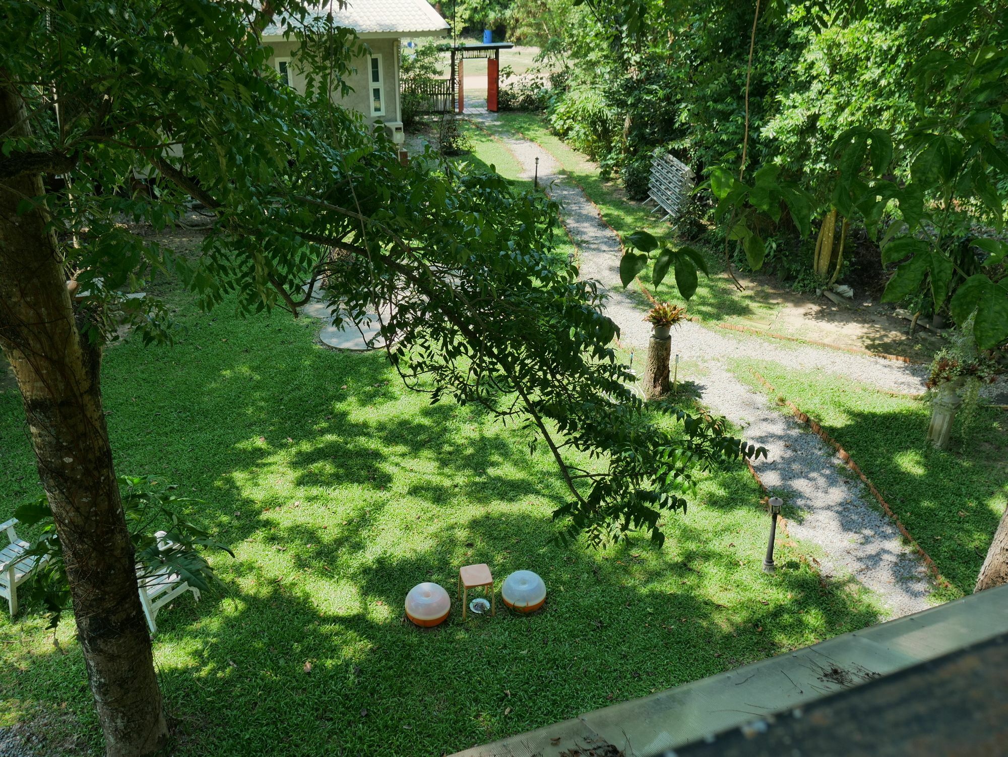 Mama Tree 3*