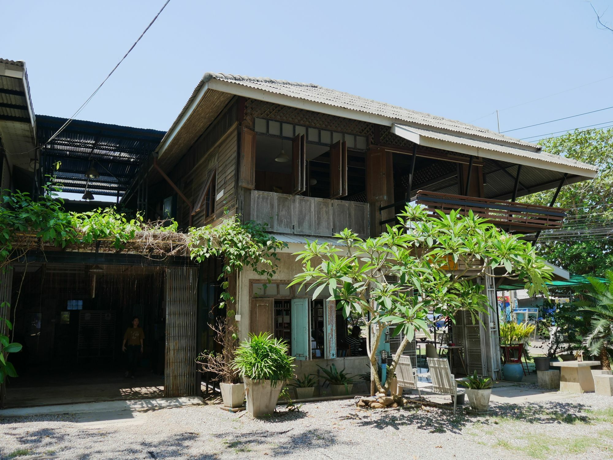 Resort Mama Tree Rayong