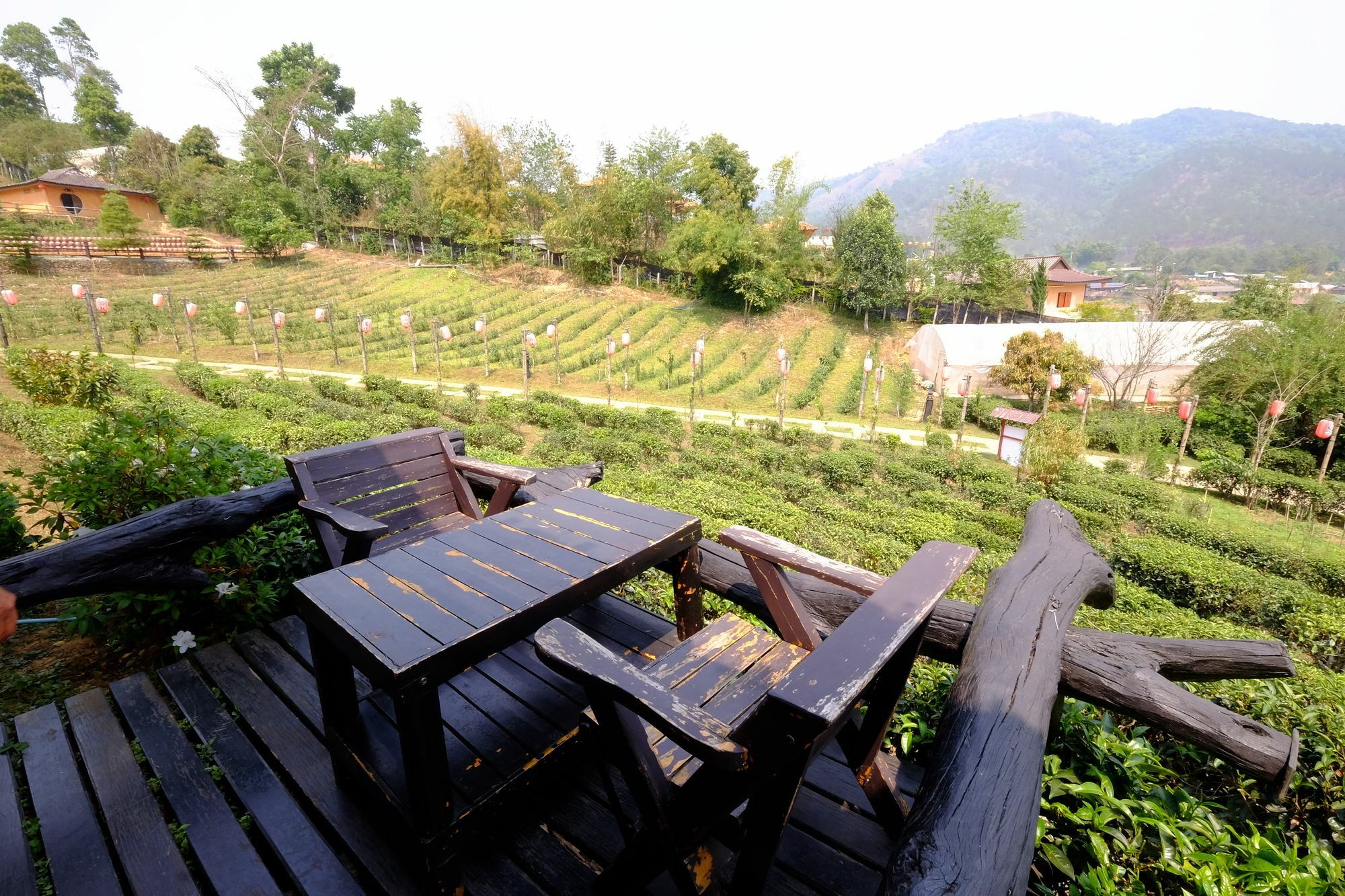 Farm stay Lee Wine Ruk Thai *