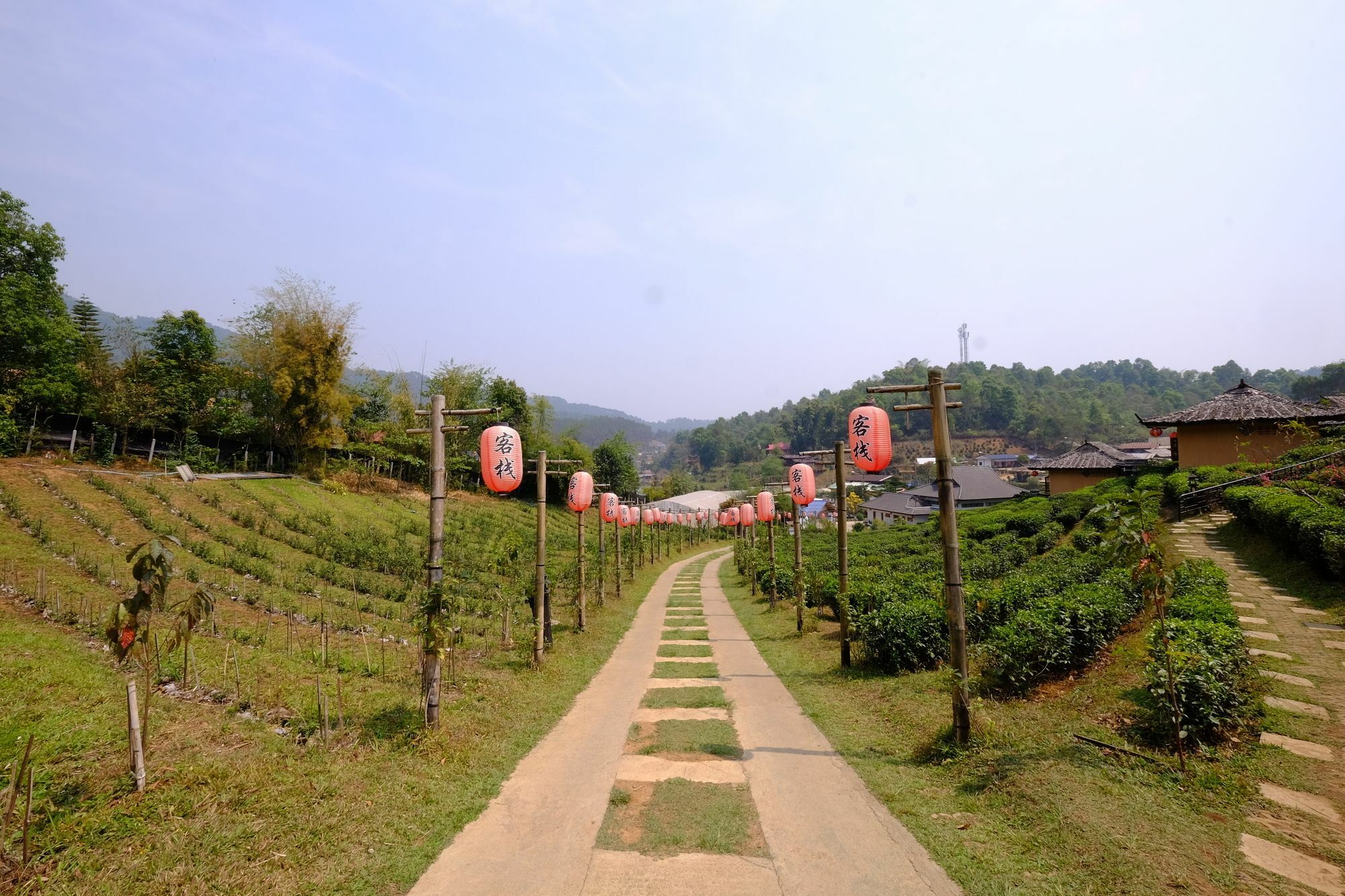 Farm stay Lee Wine Ruk Thai