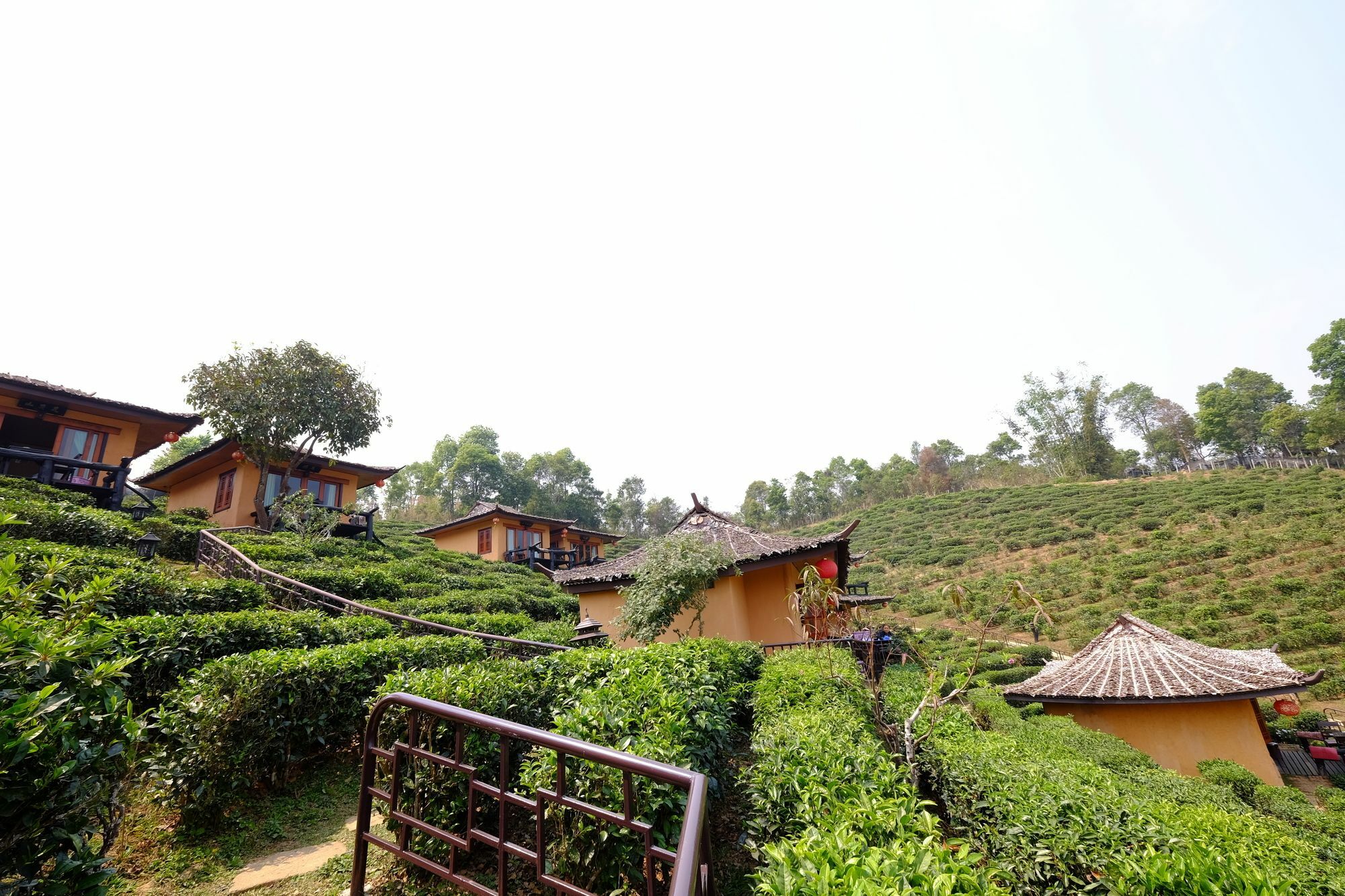 Farm stay Lee Wine Ruk Thai