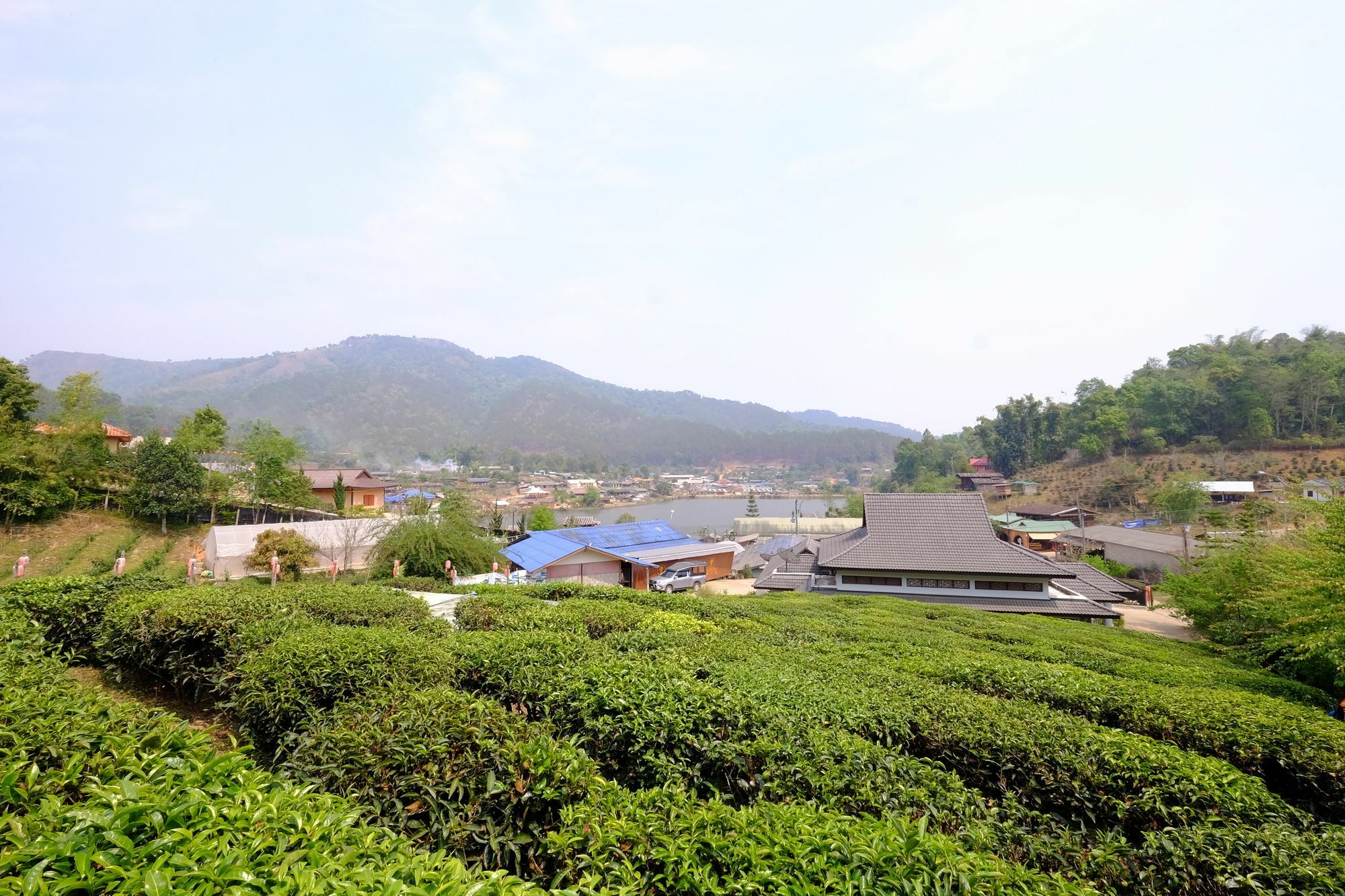 Lee Wine Ruk Thai