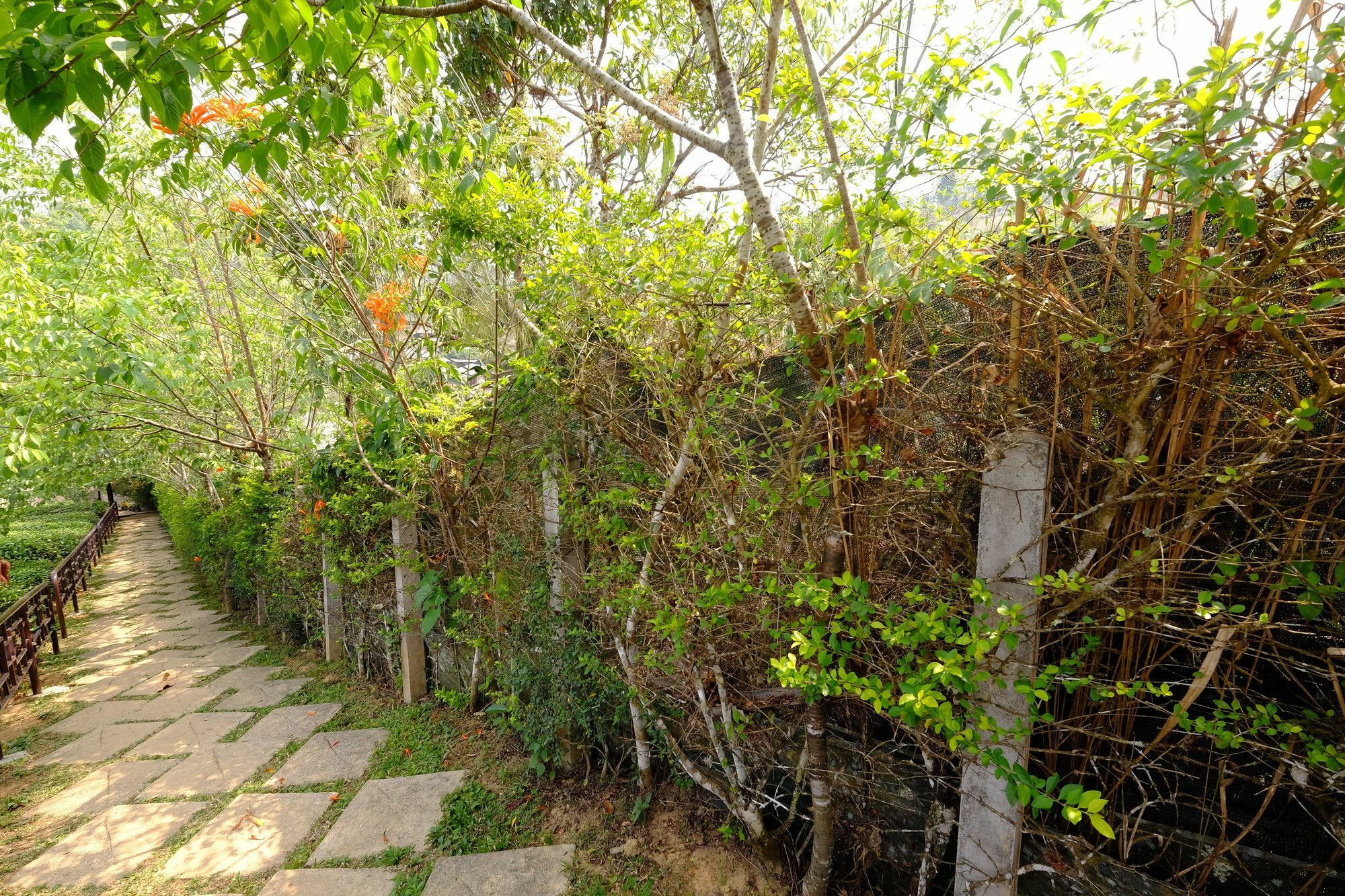 Farm stay Lee Wine Ruk Thai Ban Rak Thai
