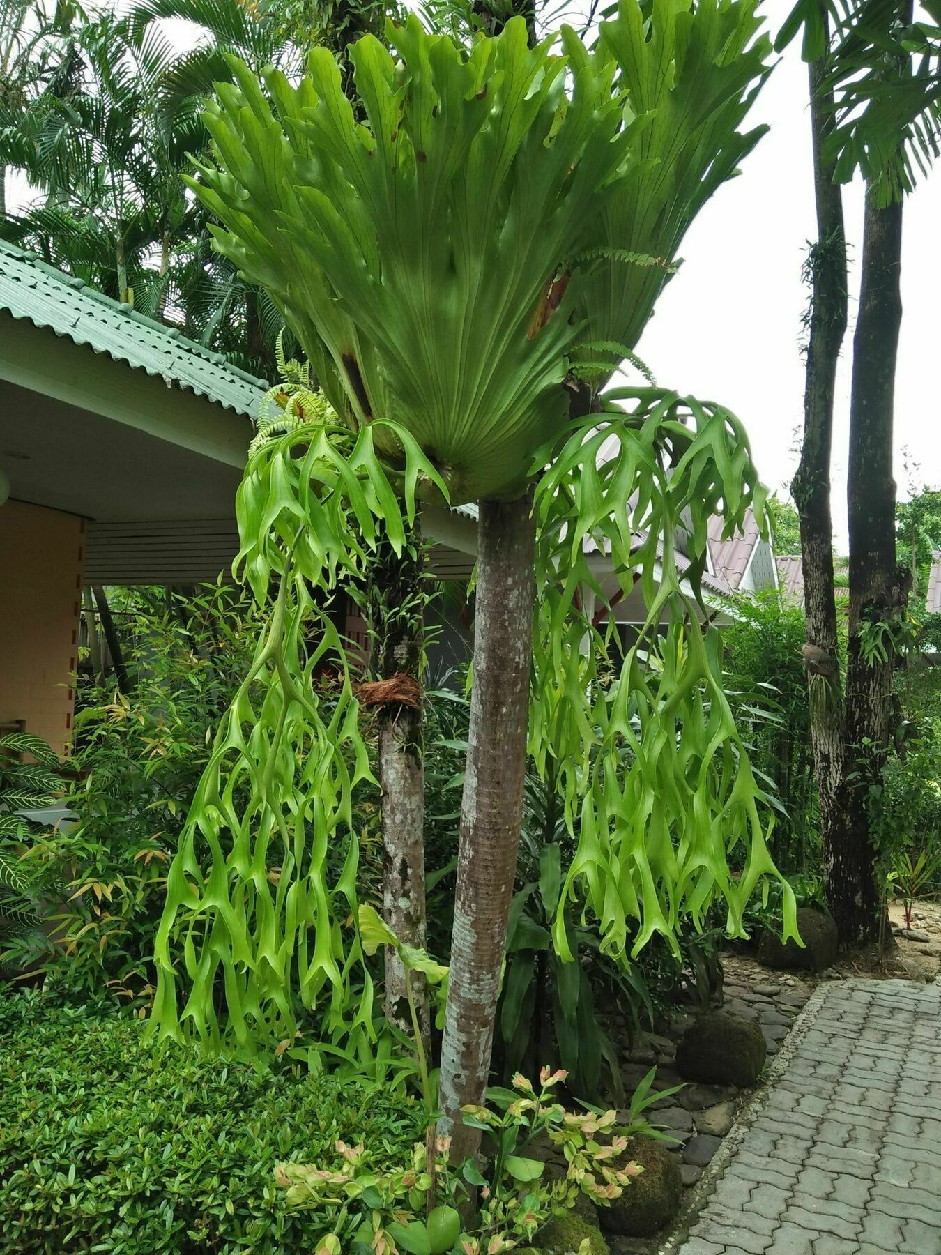 Khaolak Tusneem Guest house Khao Lak
