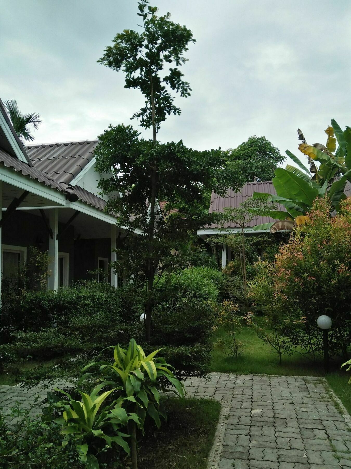 Khaolak Tusneem *