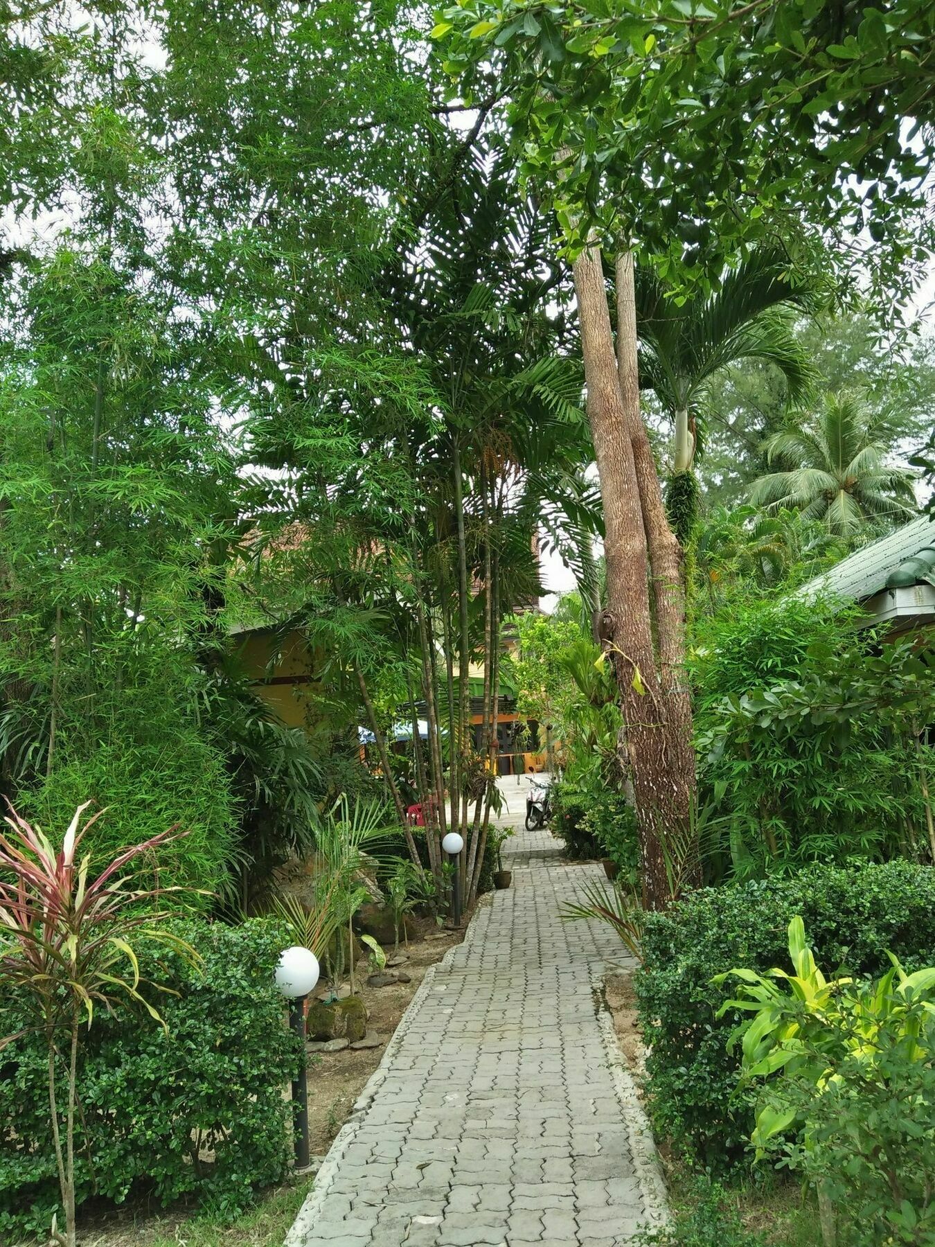 Khaolak Tusneem Guest house *
