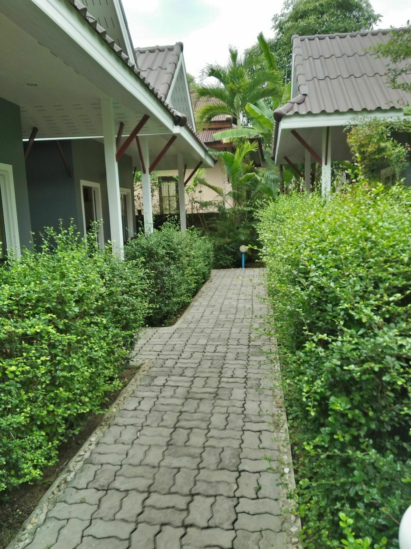 Khaolak Tusneem *