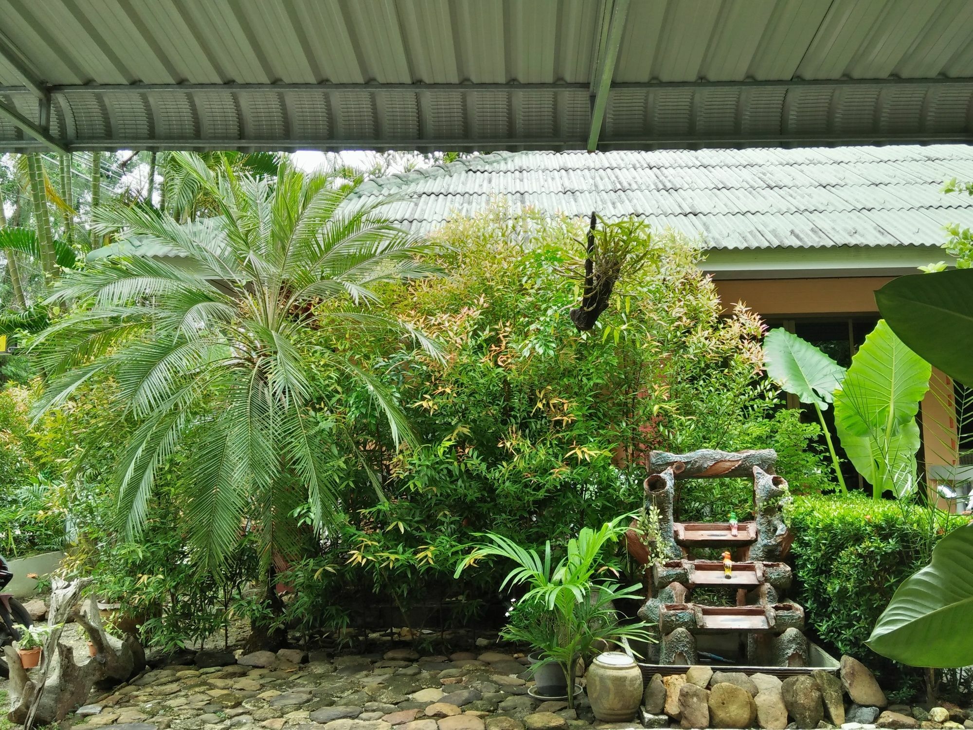 Khaolak Tusneem *