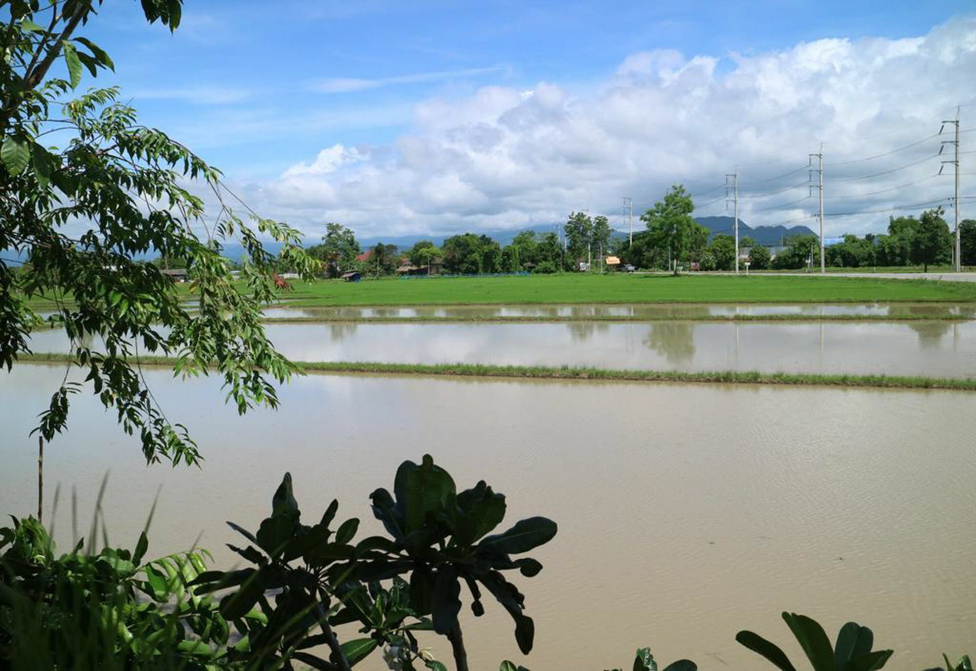 Junsopa Resort