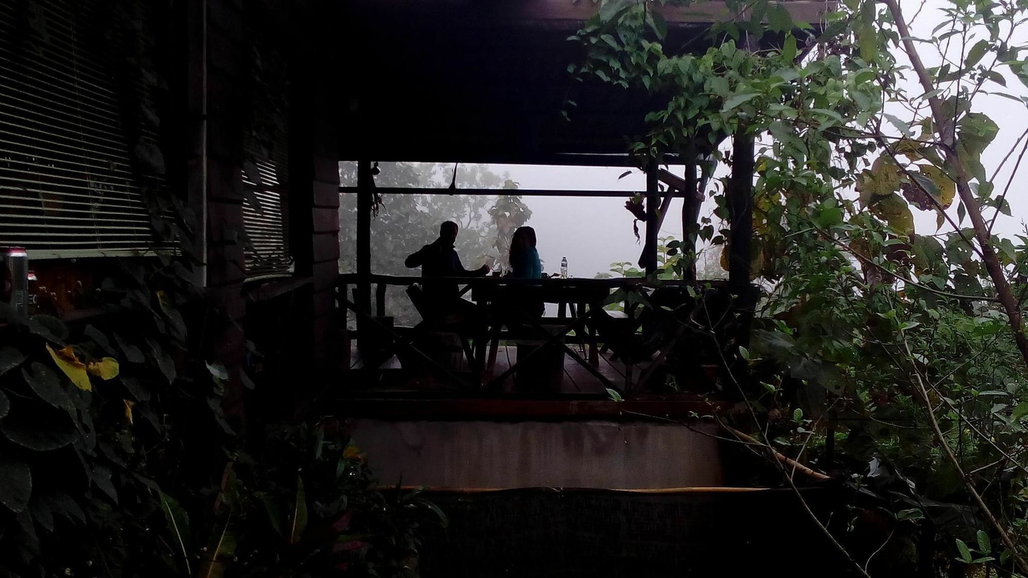 The Local Story Guest house
