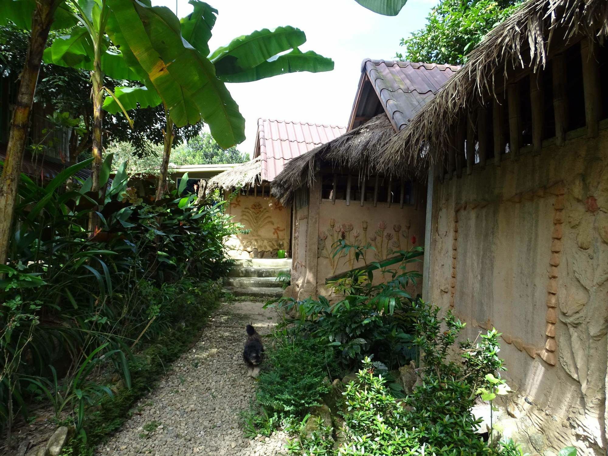 Hill Tribe Art House Homestay Chiang Rai
