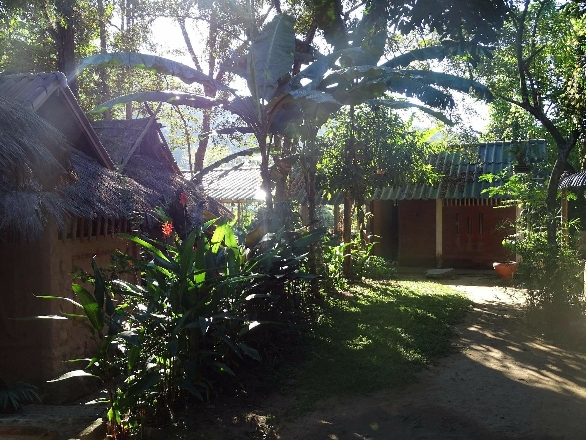 Homestay Hill Tribe Art House Chiang Rai