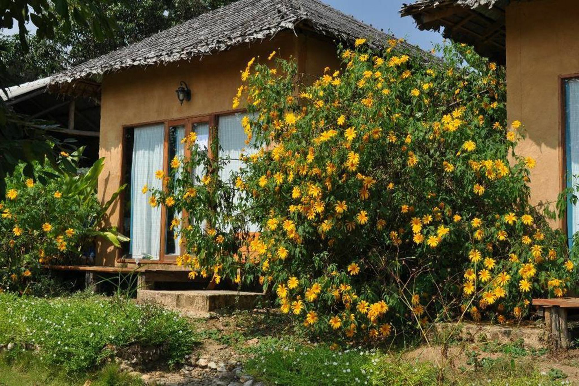 Baan Chomdoi Holiday park *