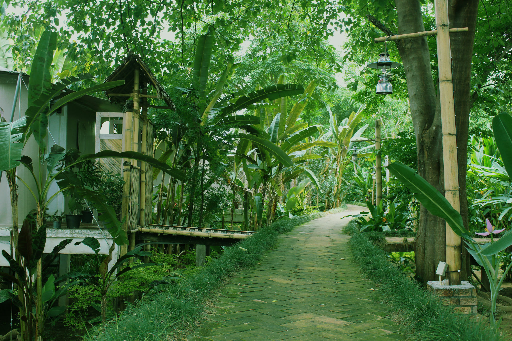 Resort Pai Vimaan Mae Hong Son