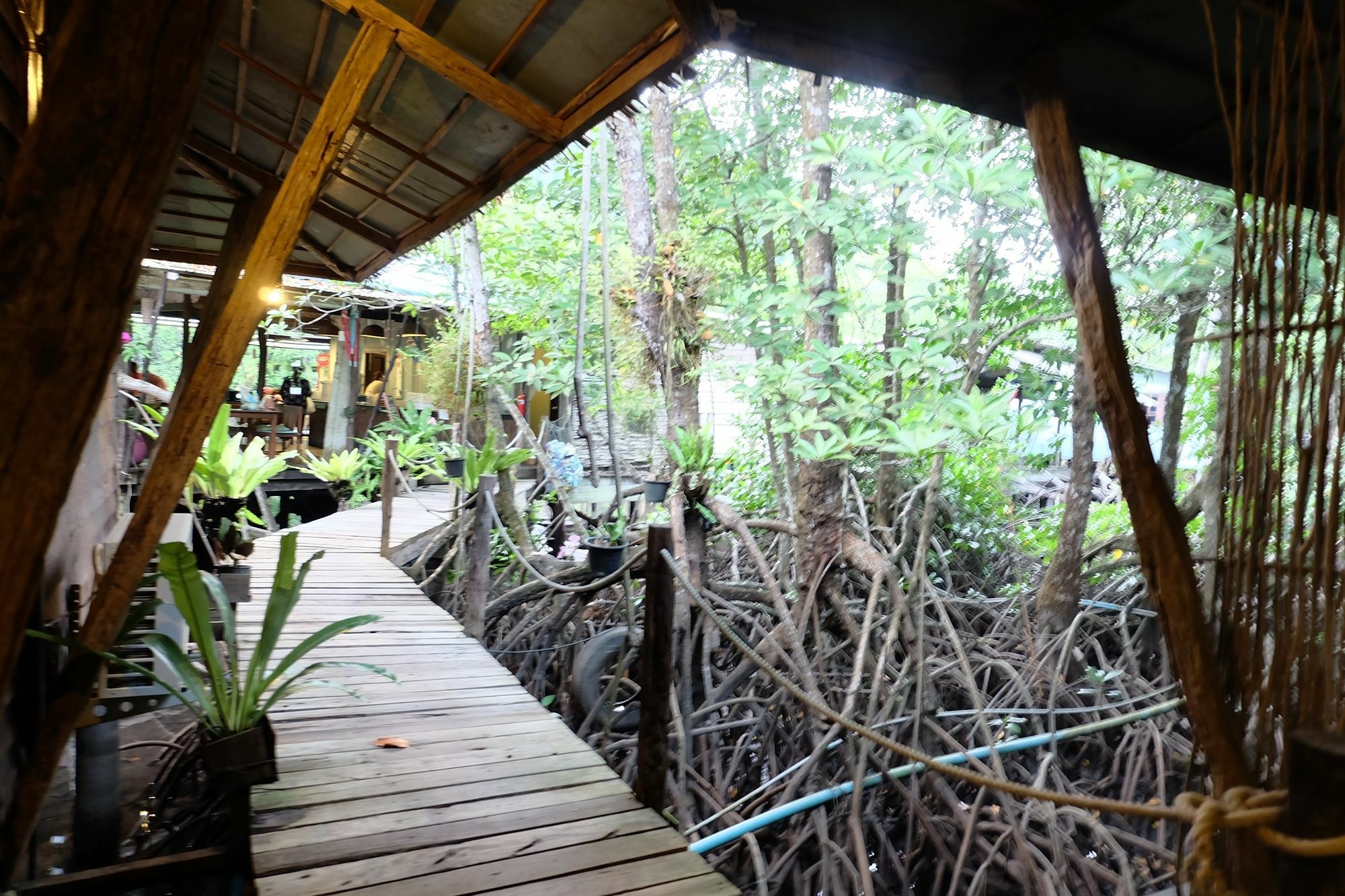 For-rest Boutique House Koh Kood Ko Kut