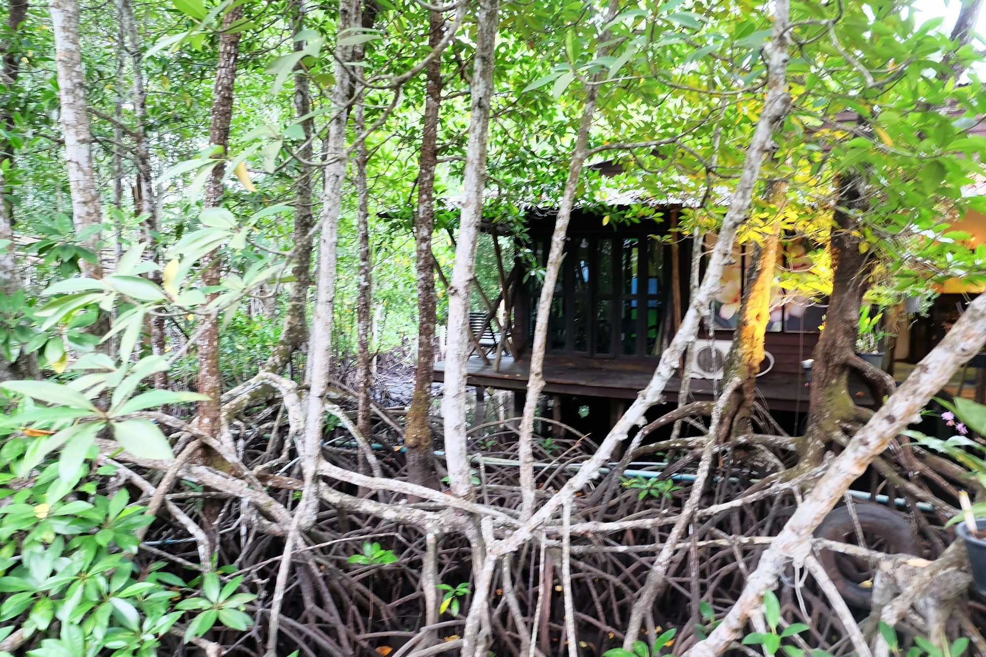 For-rest Boutique House Koh Kood Guest house