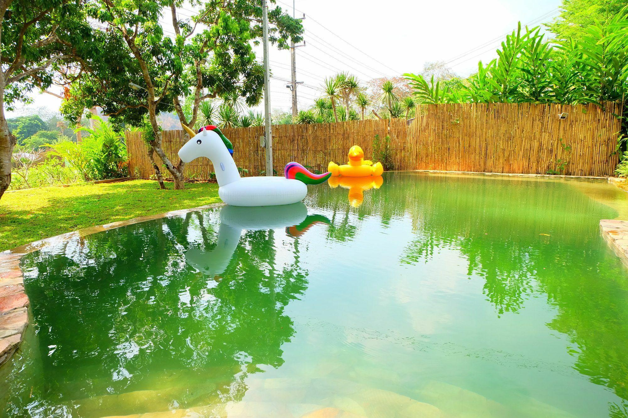 In My Dream Resort