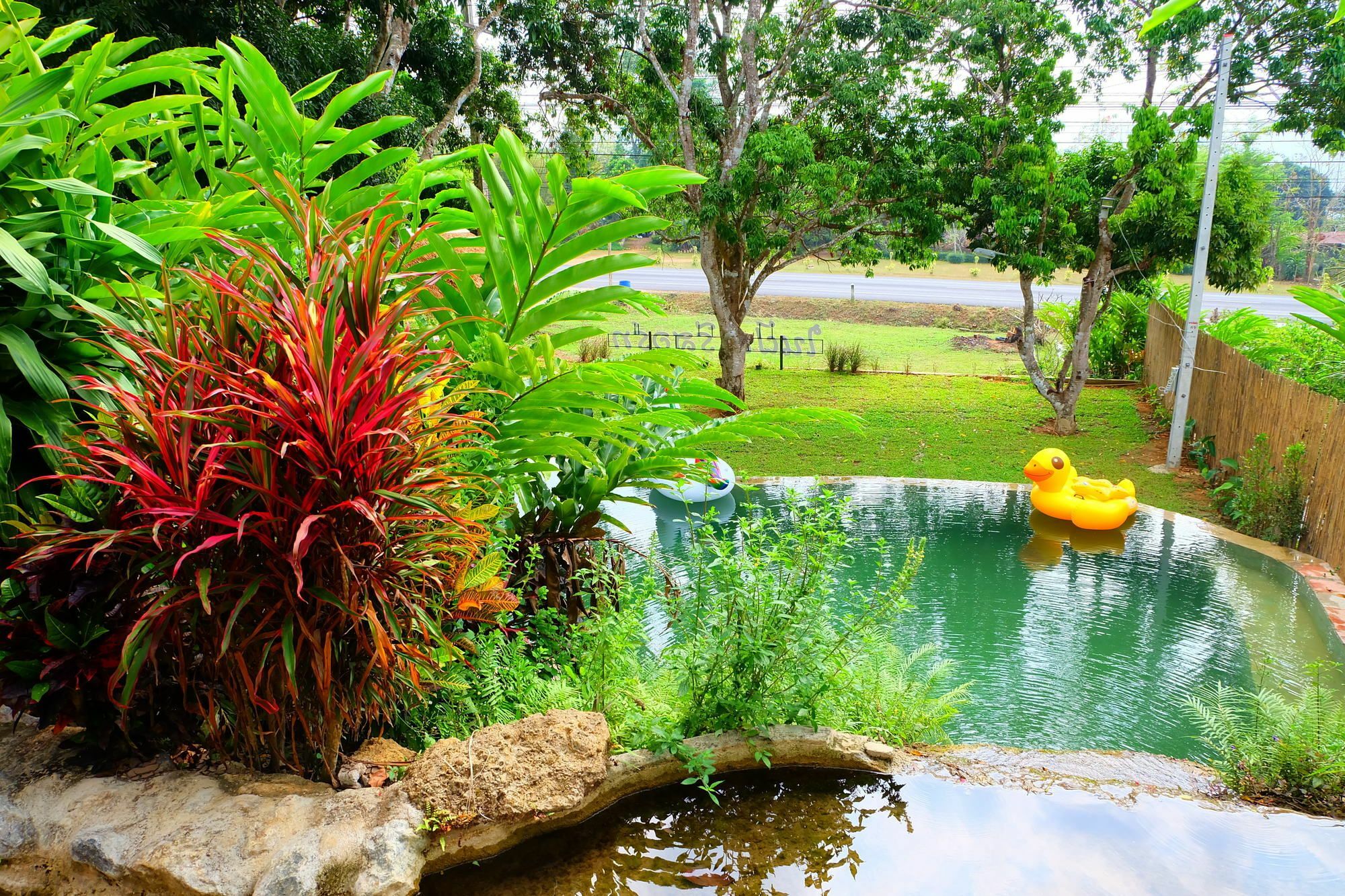 In My Dream Resort