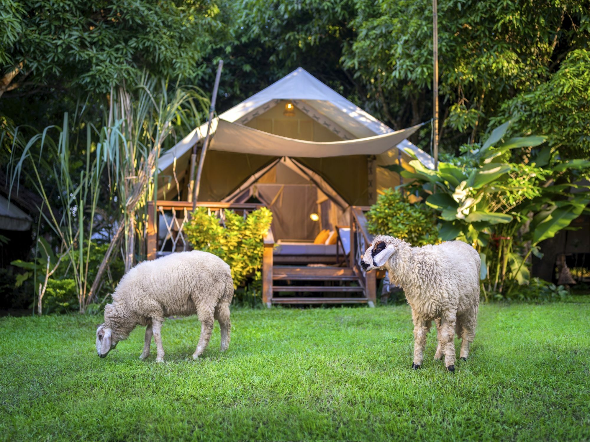 Hintok River Camp
