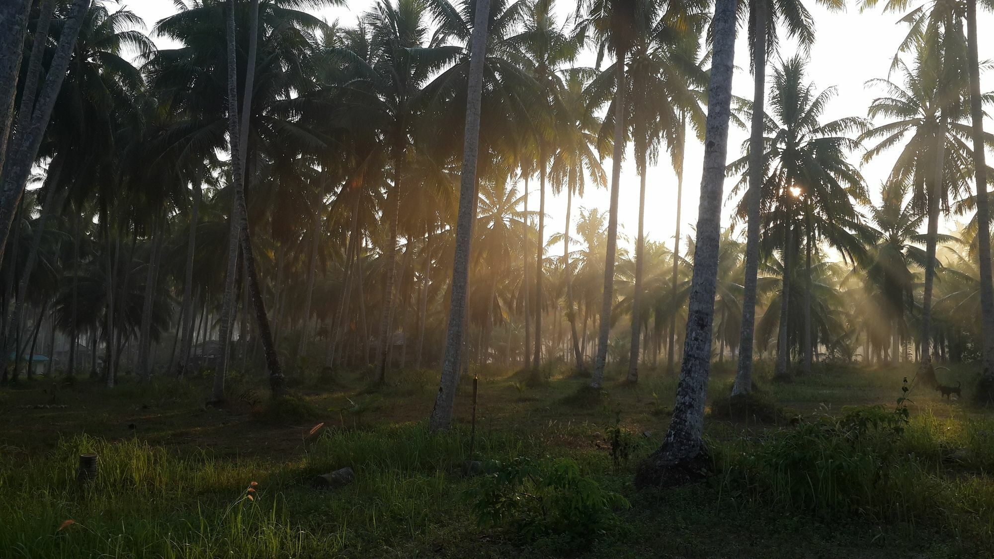 Baan Phuean Koh Kood