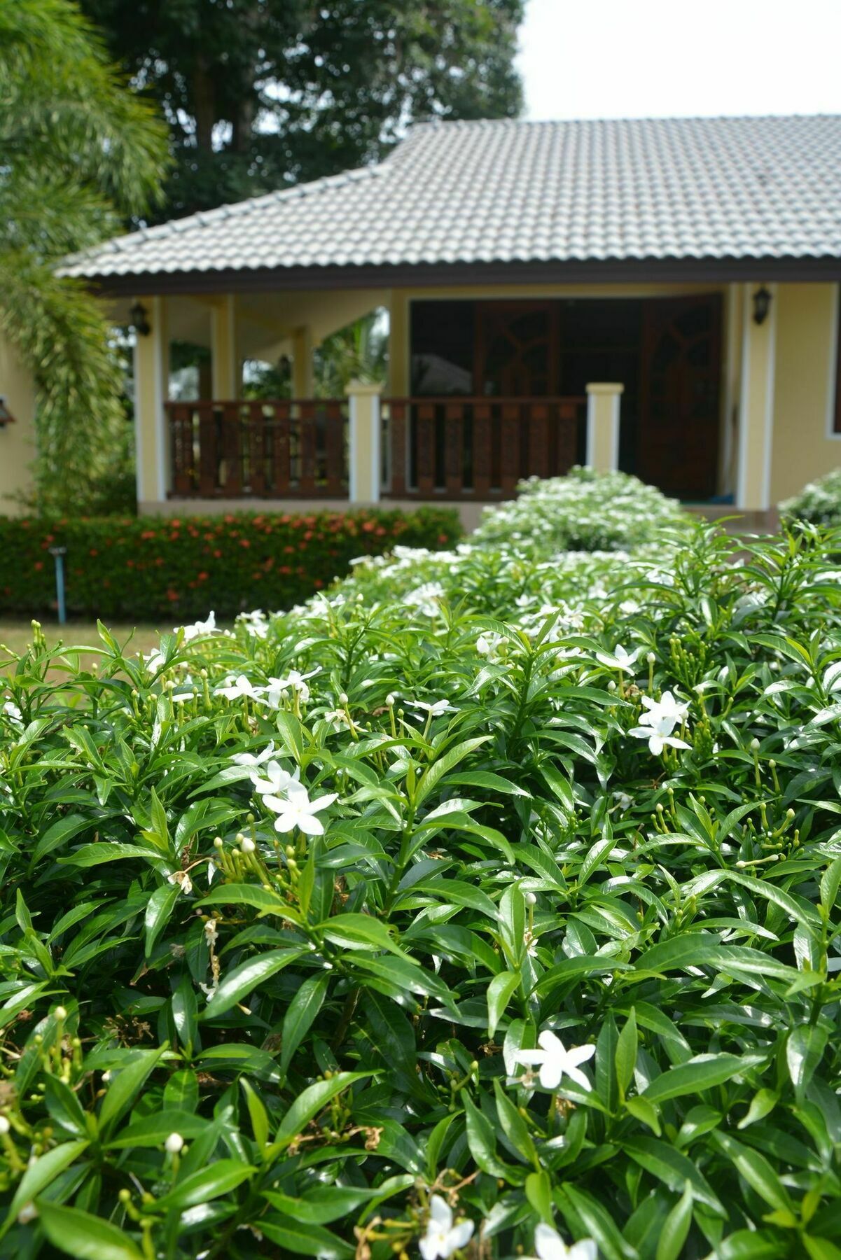 Chalet Apple