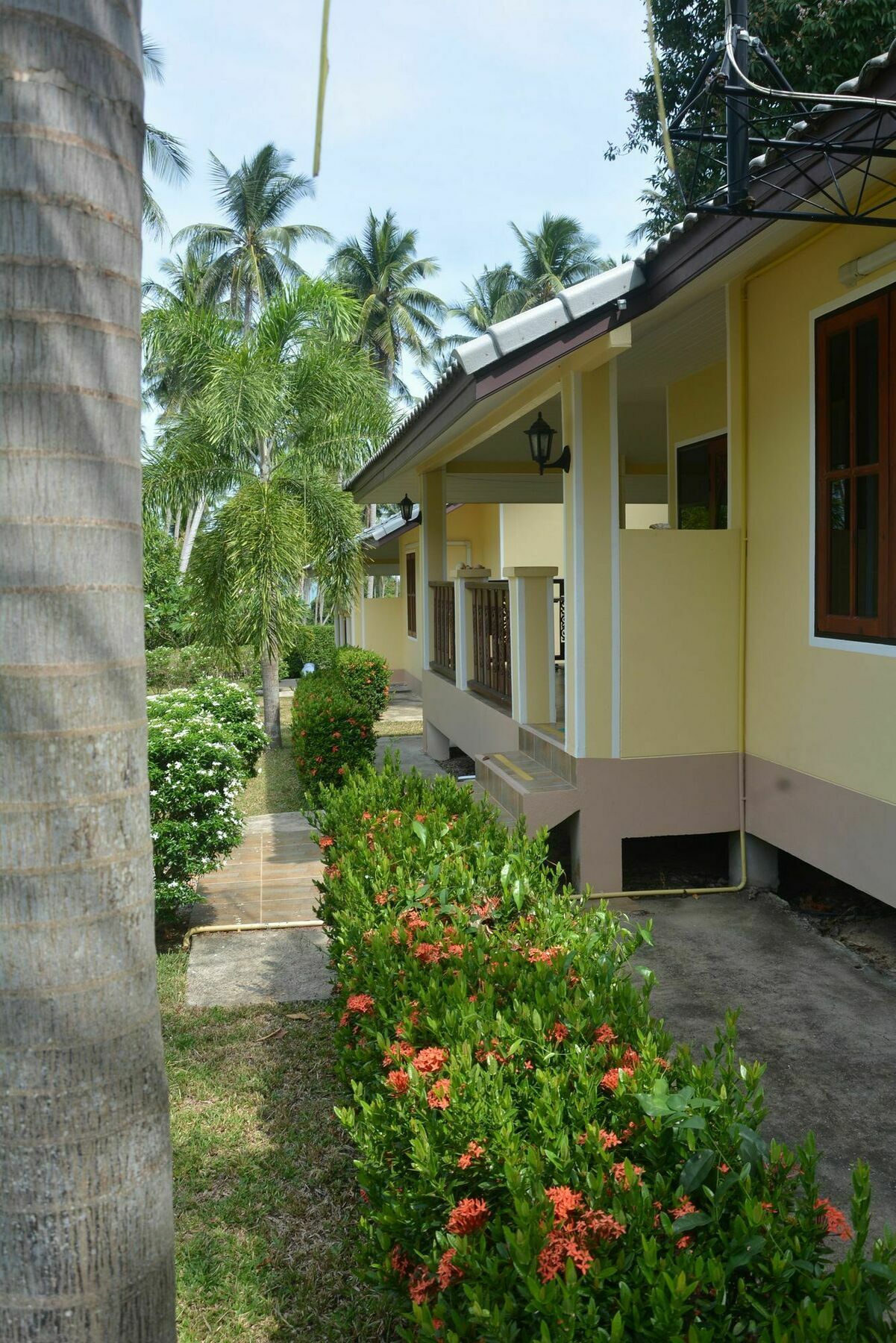 Chalet Apple *