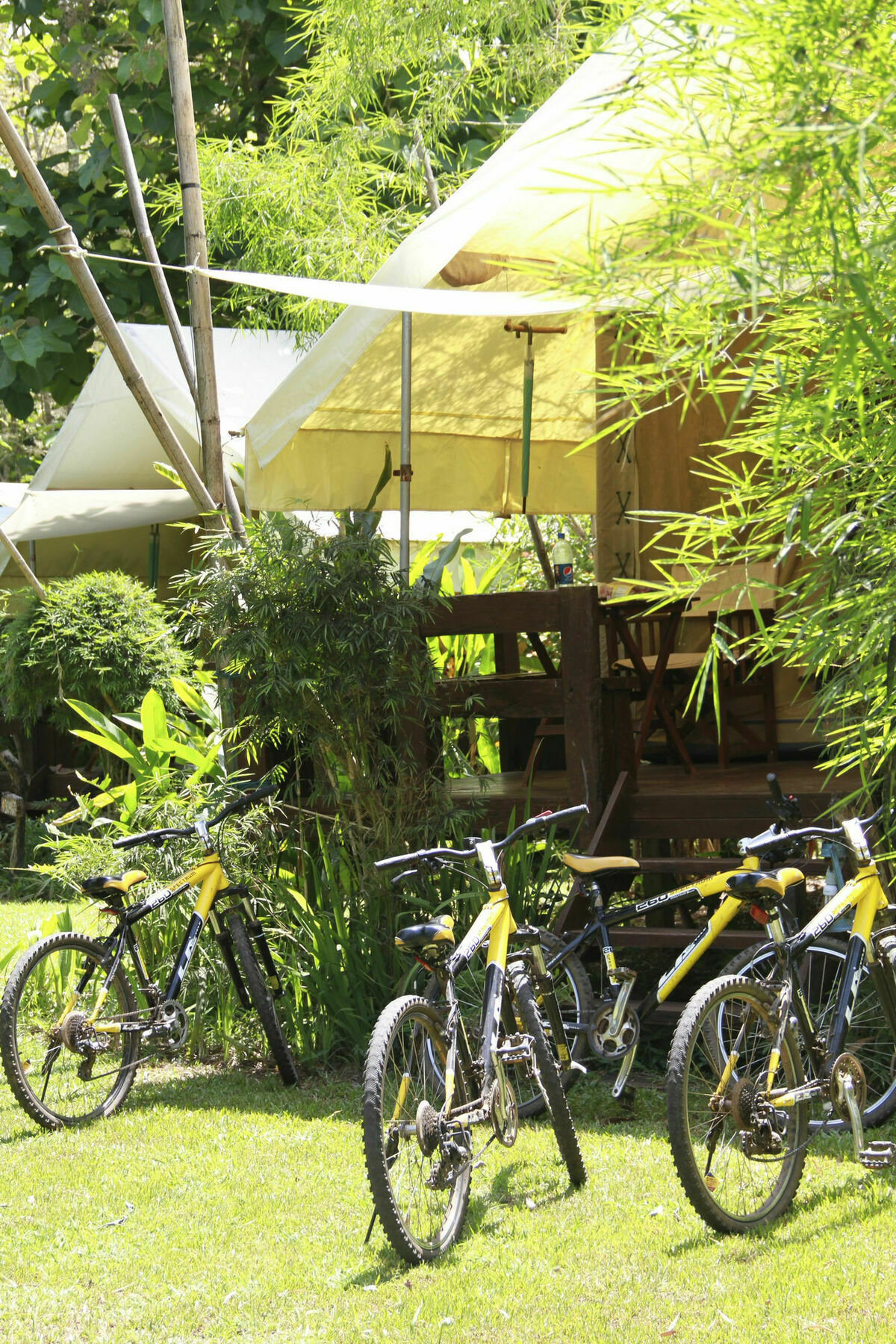 Hintok River Camp Resort Sai Yok