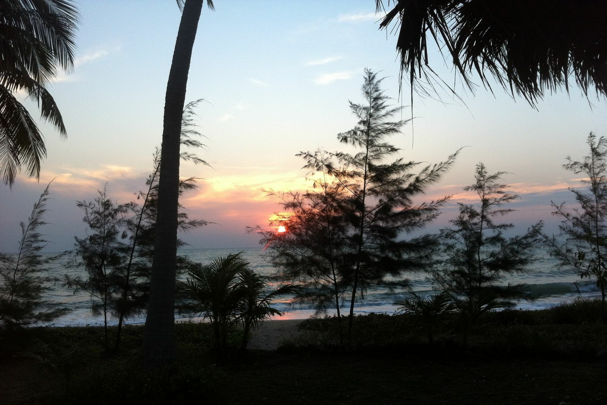 Salacoco *
