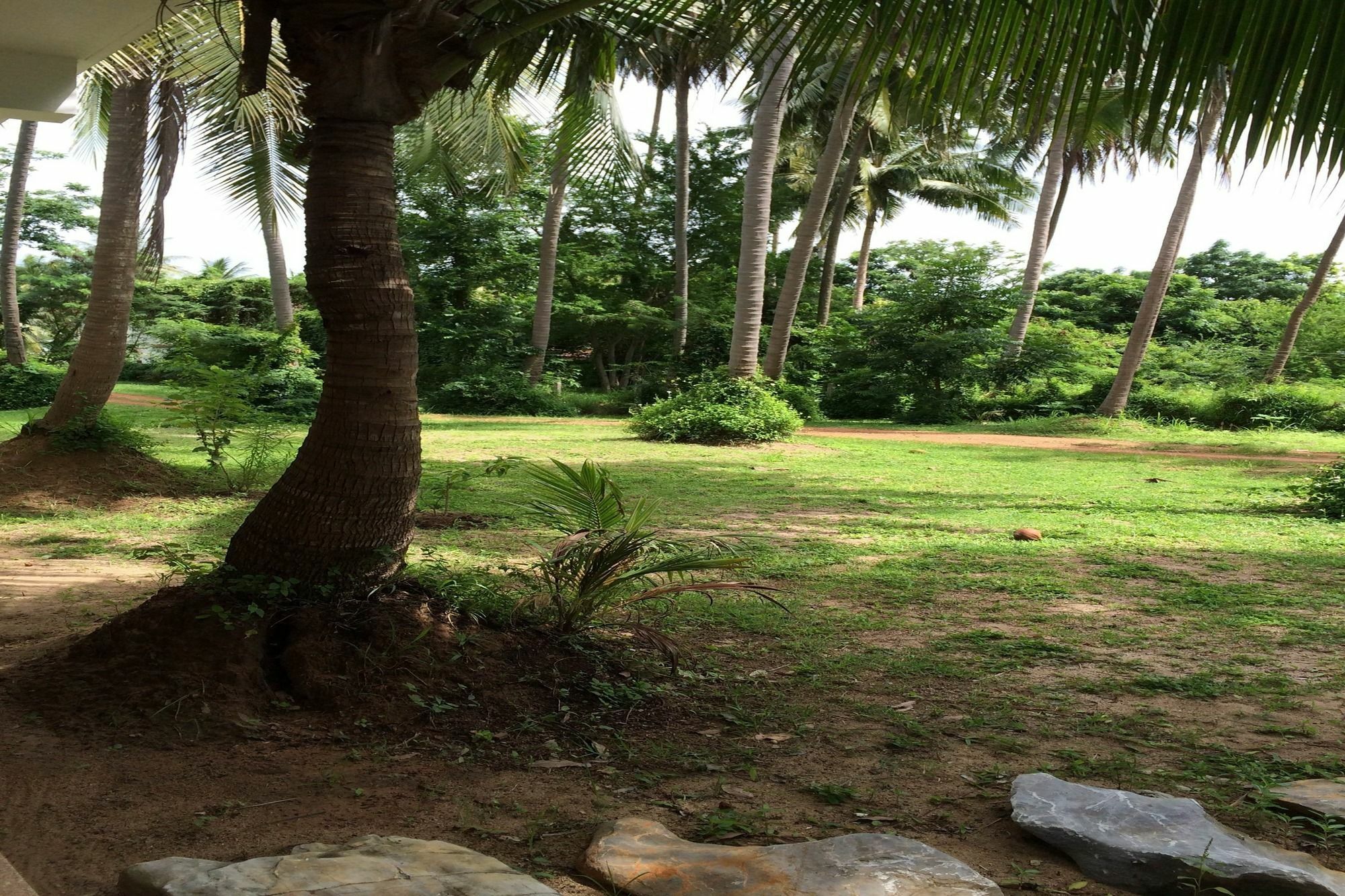 Salacoco Country house