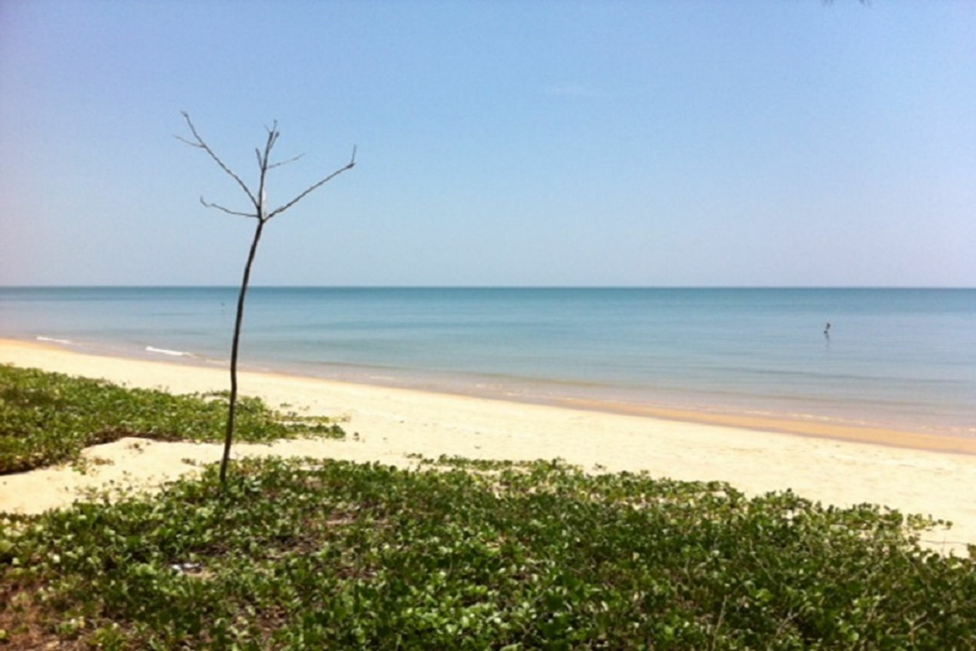 Salacoco * Ban Krut (Prachuap Khiri Khan)