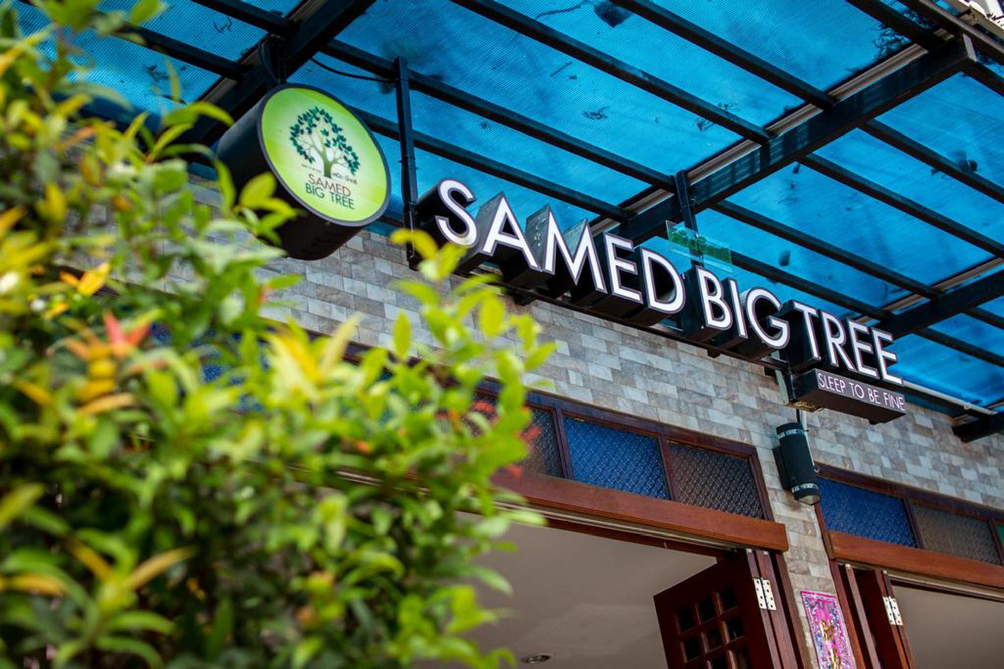 Samed Big Tree Guest house Koh Samet
