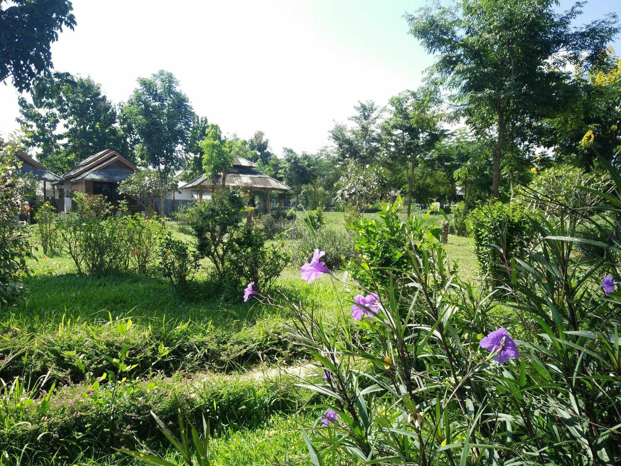 Resort Park