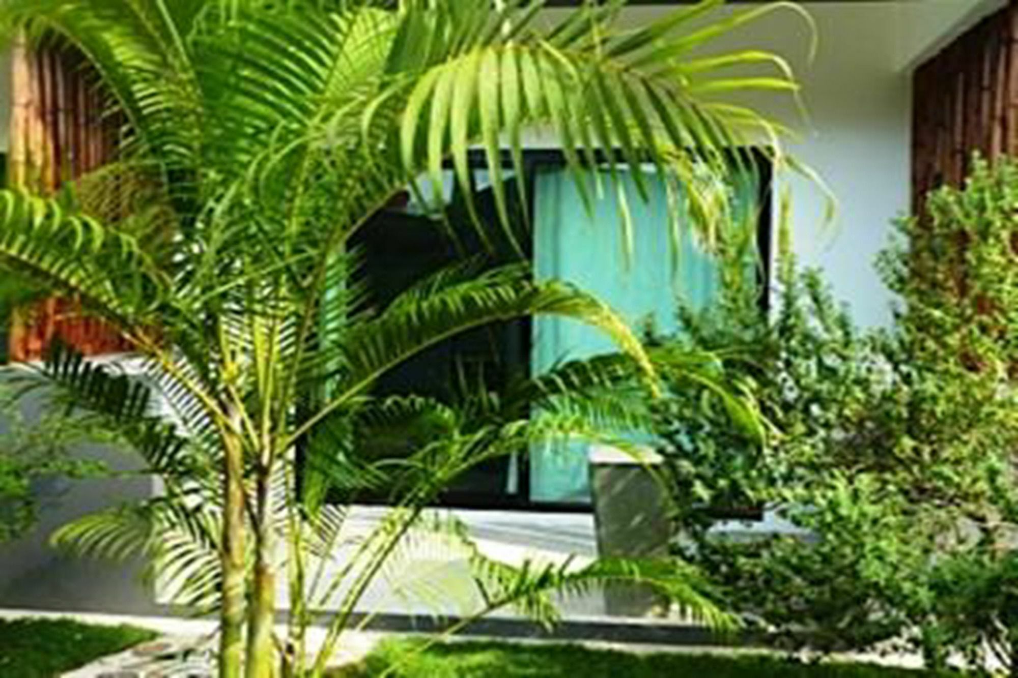 Guest house Sairee Sairee Koh Tao