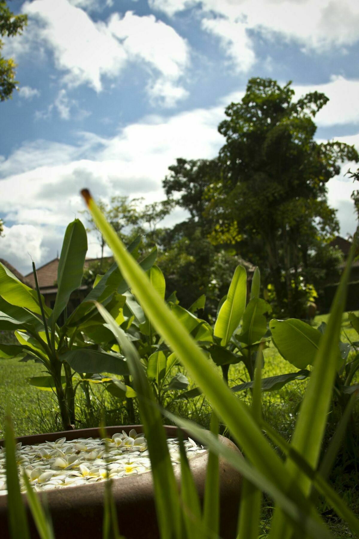 Calvary Villa *