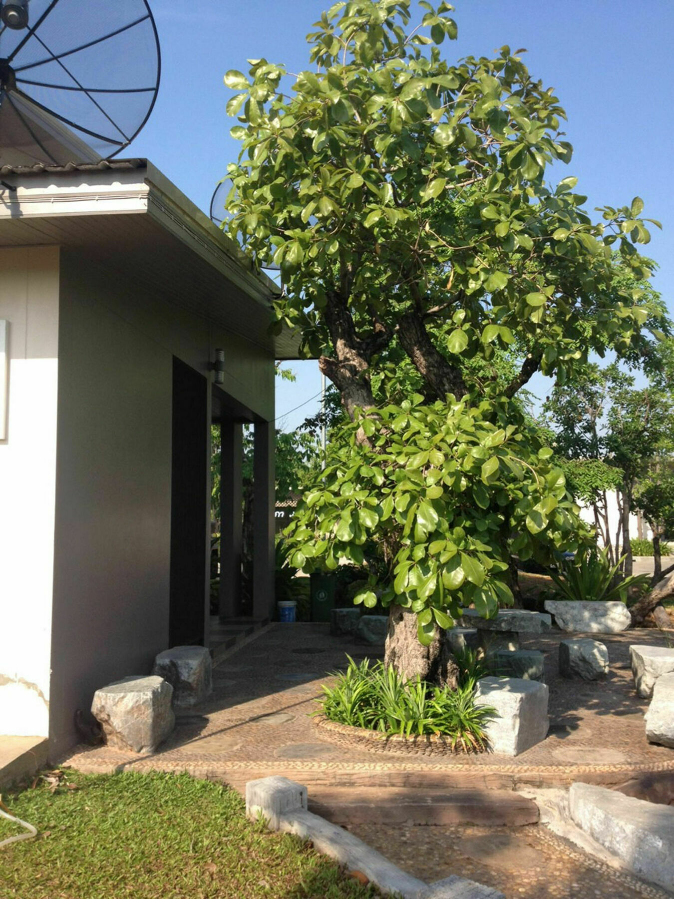 Garden Resort