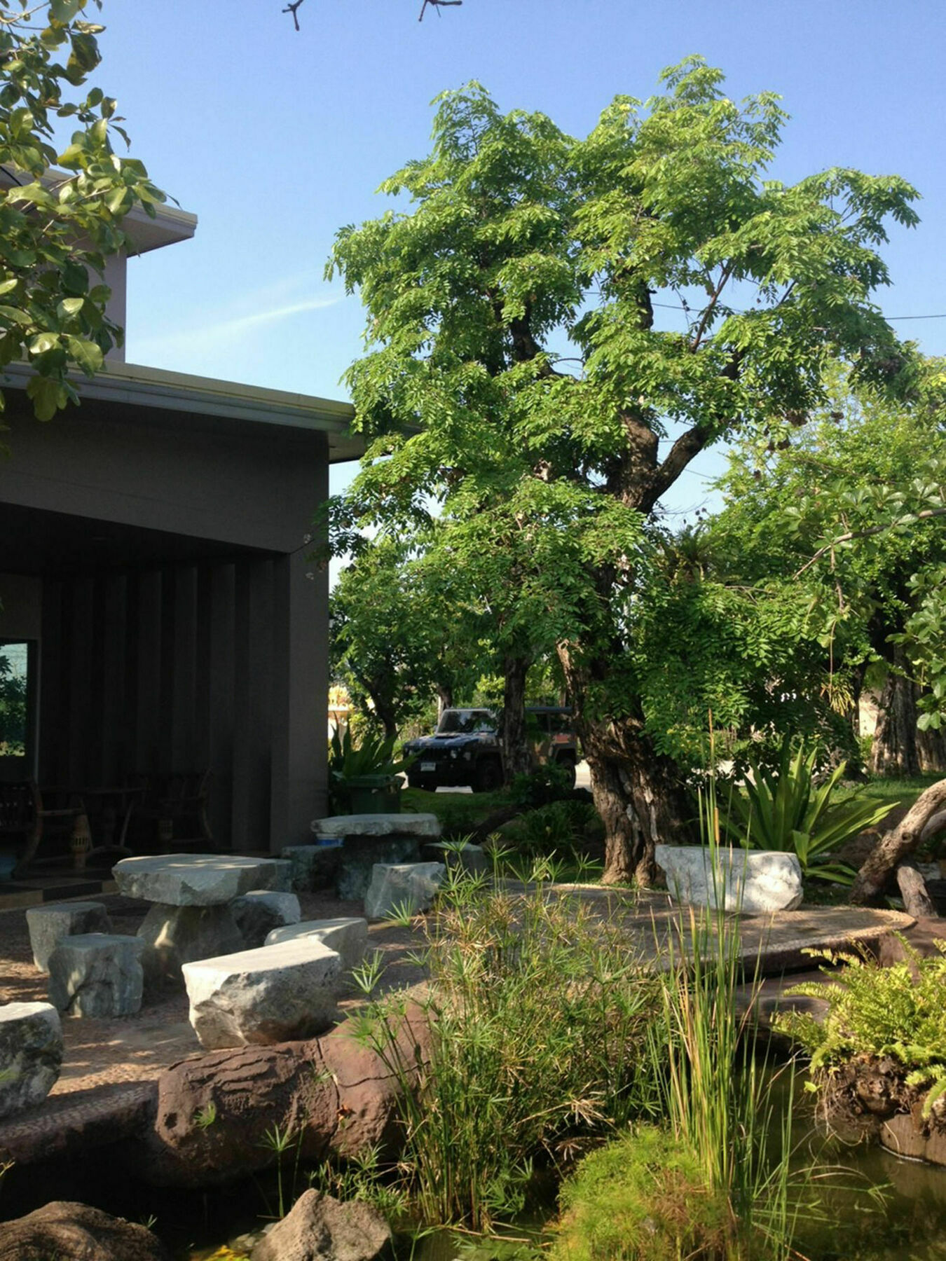 Garden