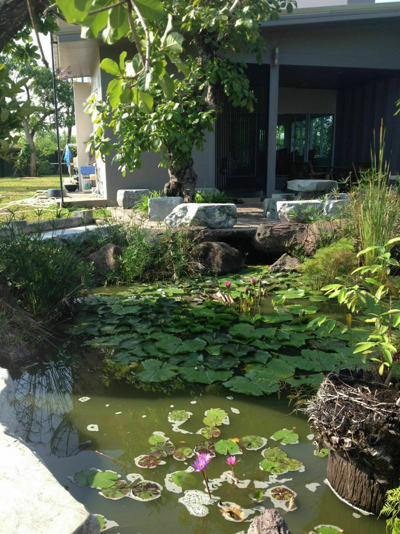 Resort Garden 3*
