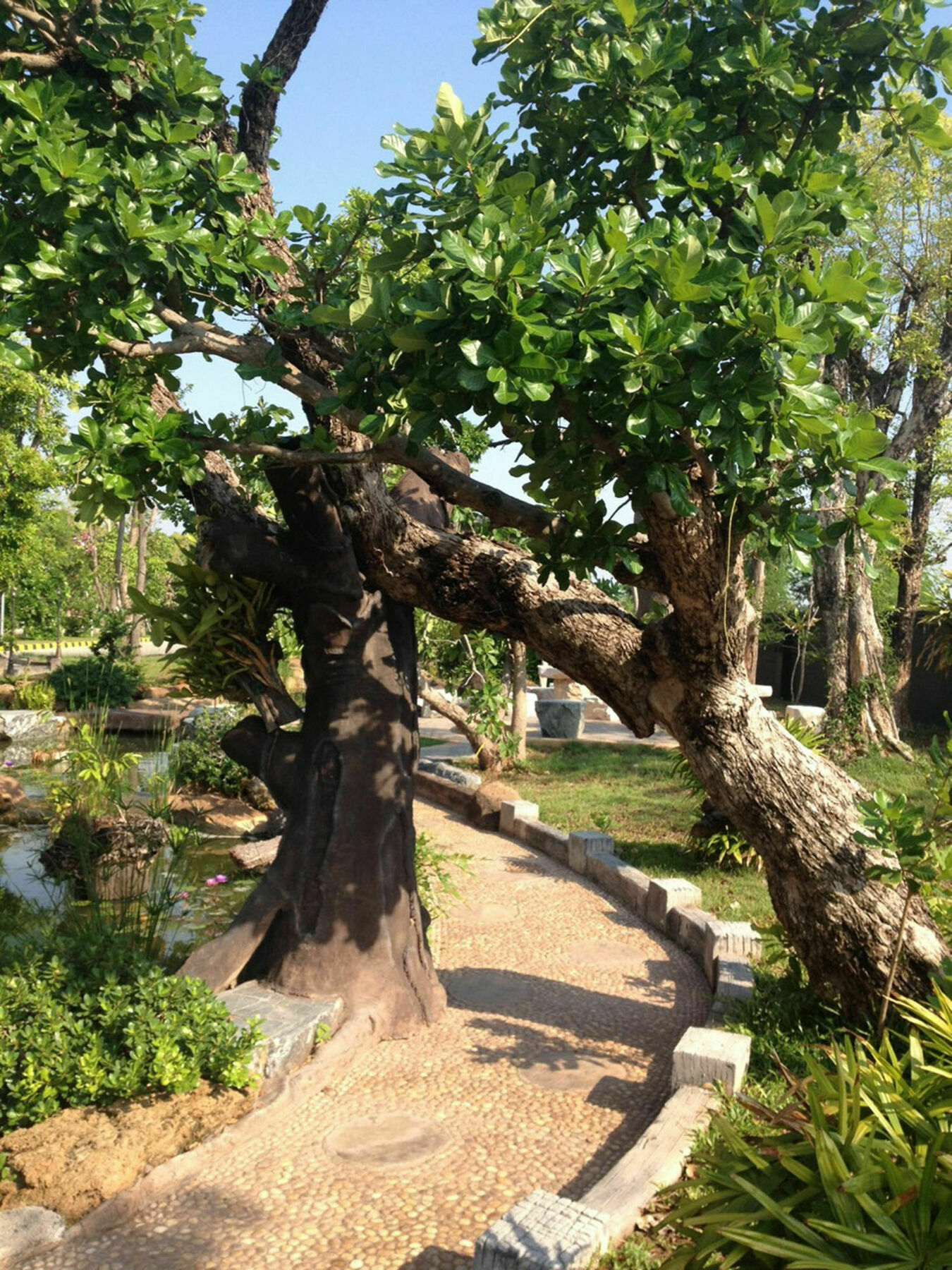 Garden Resort Nakhon Ratchasima