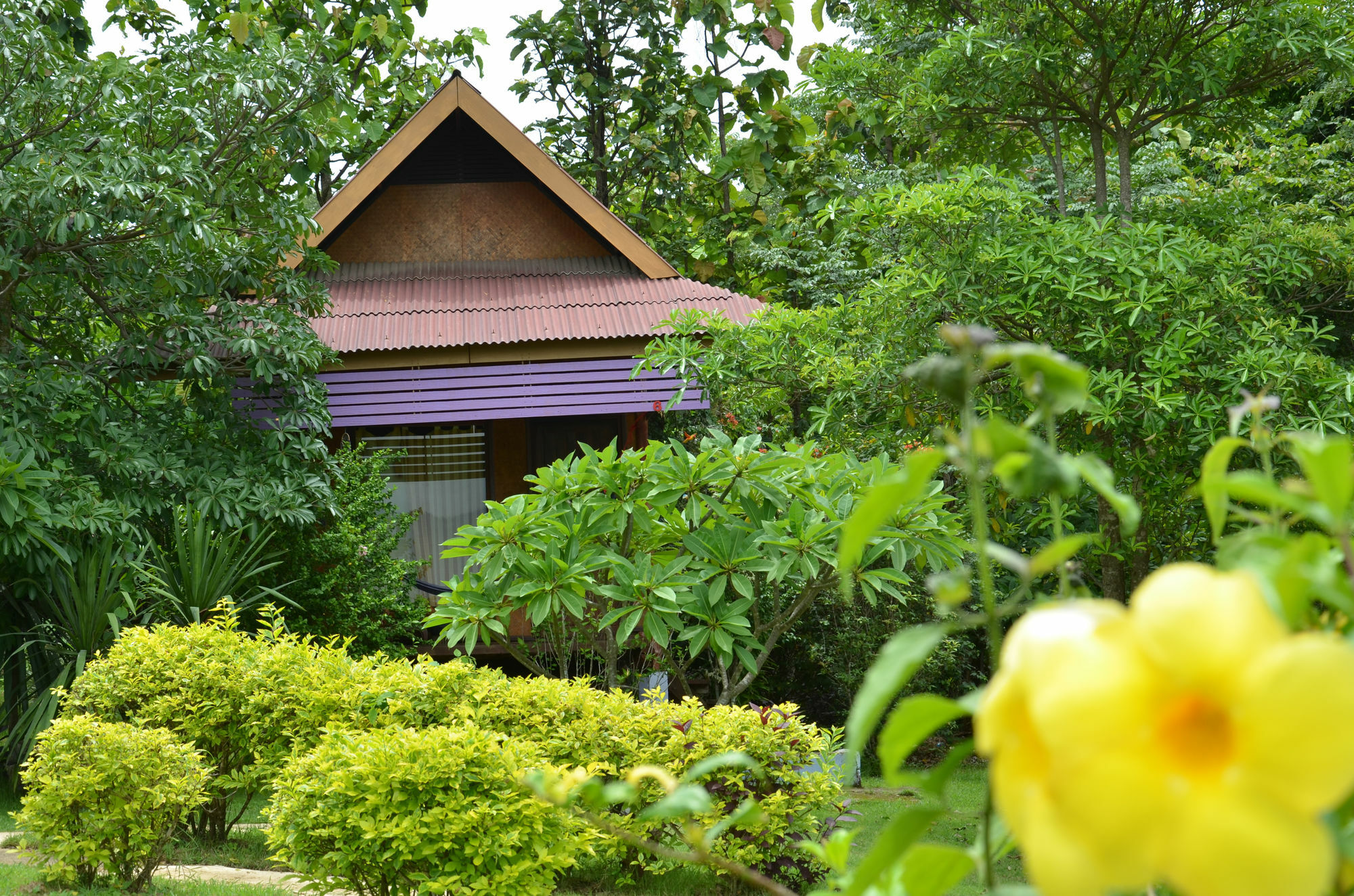 Romantic Time Mountain 2* Pai