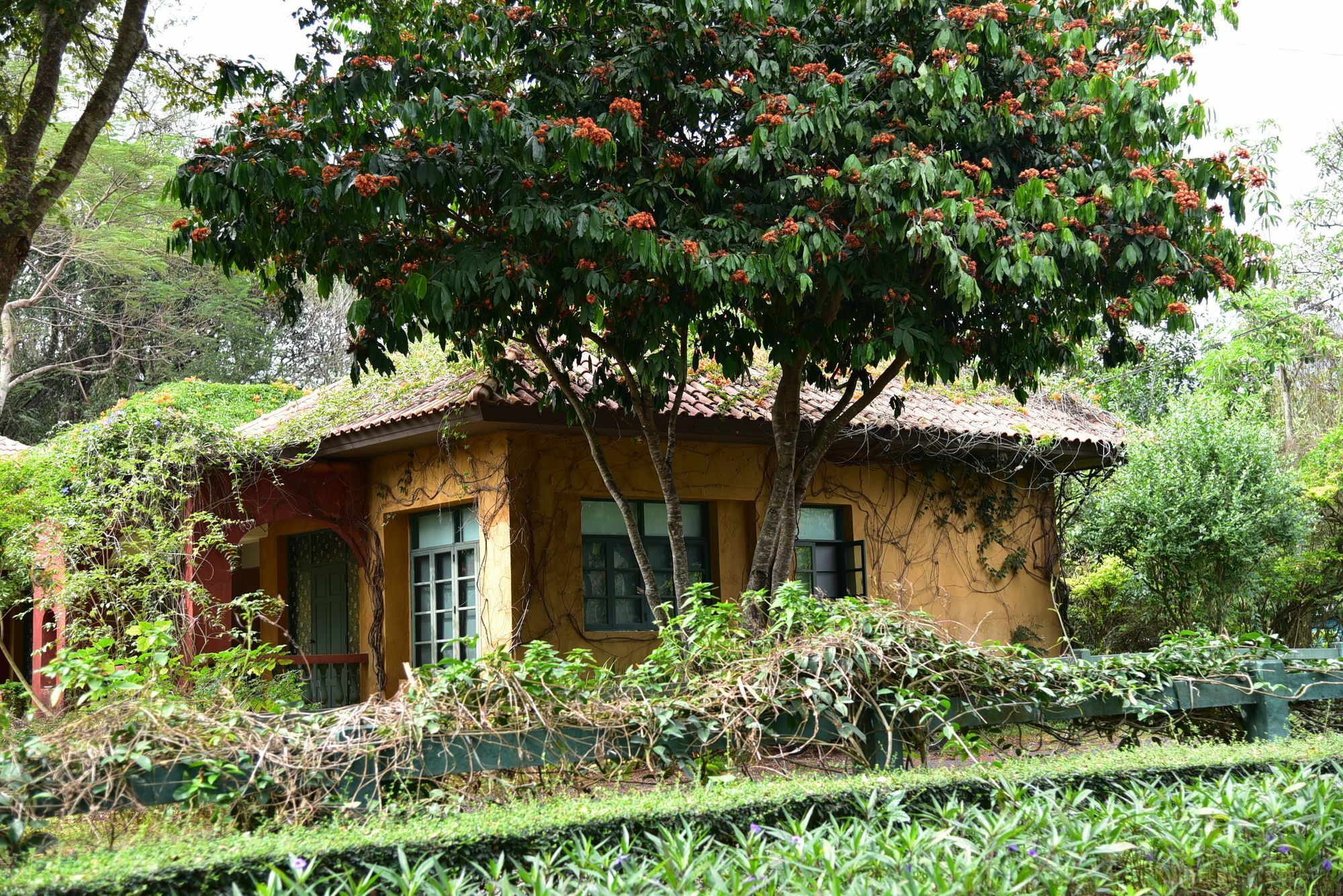 Baan Khun Ying Retreat Khao Yai Resort 3*