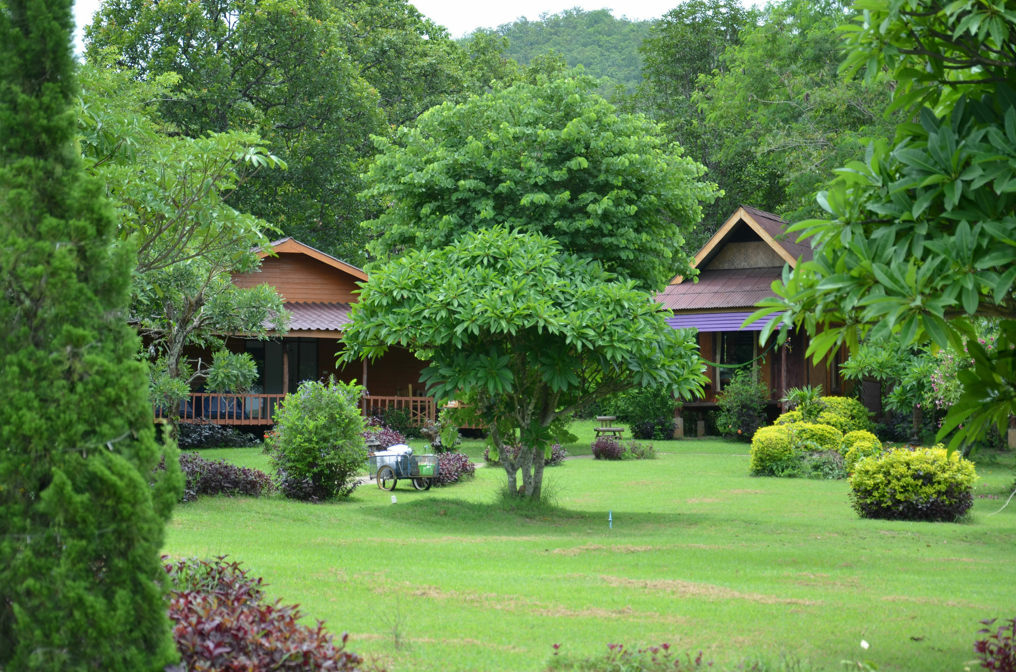 Romantic Time Mountain Pai