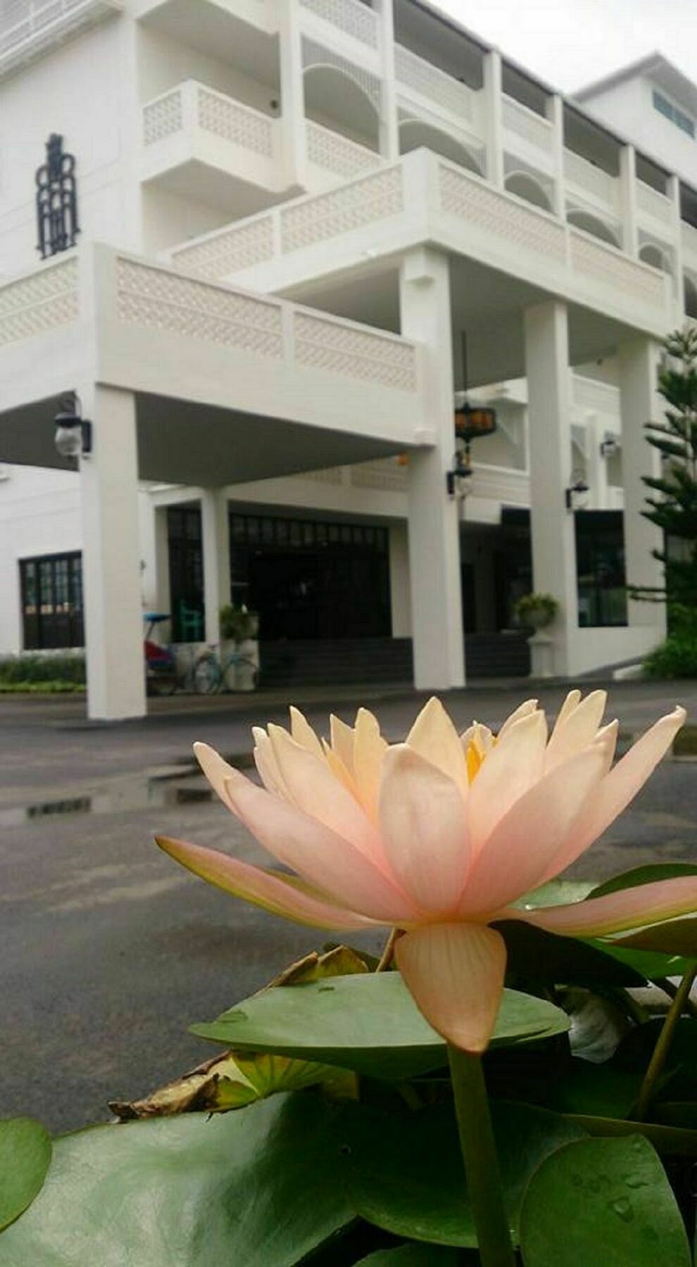 Hotel Koranaree Courtyard Boutique Nakhon Ratchasima